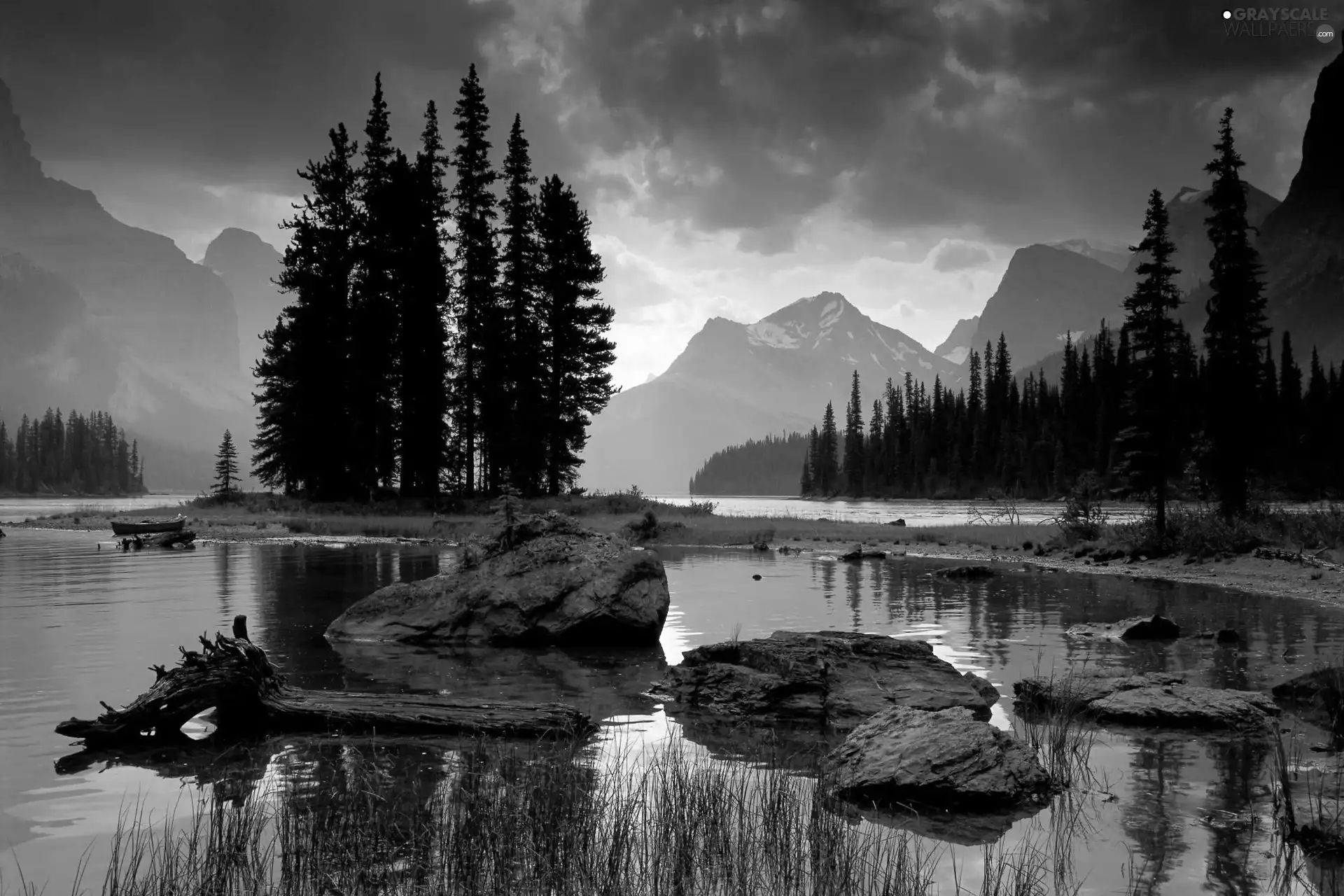 trees, Stones, Mountains, viewes