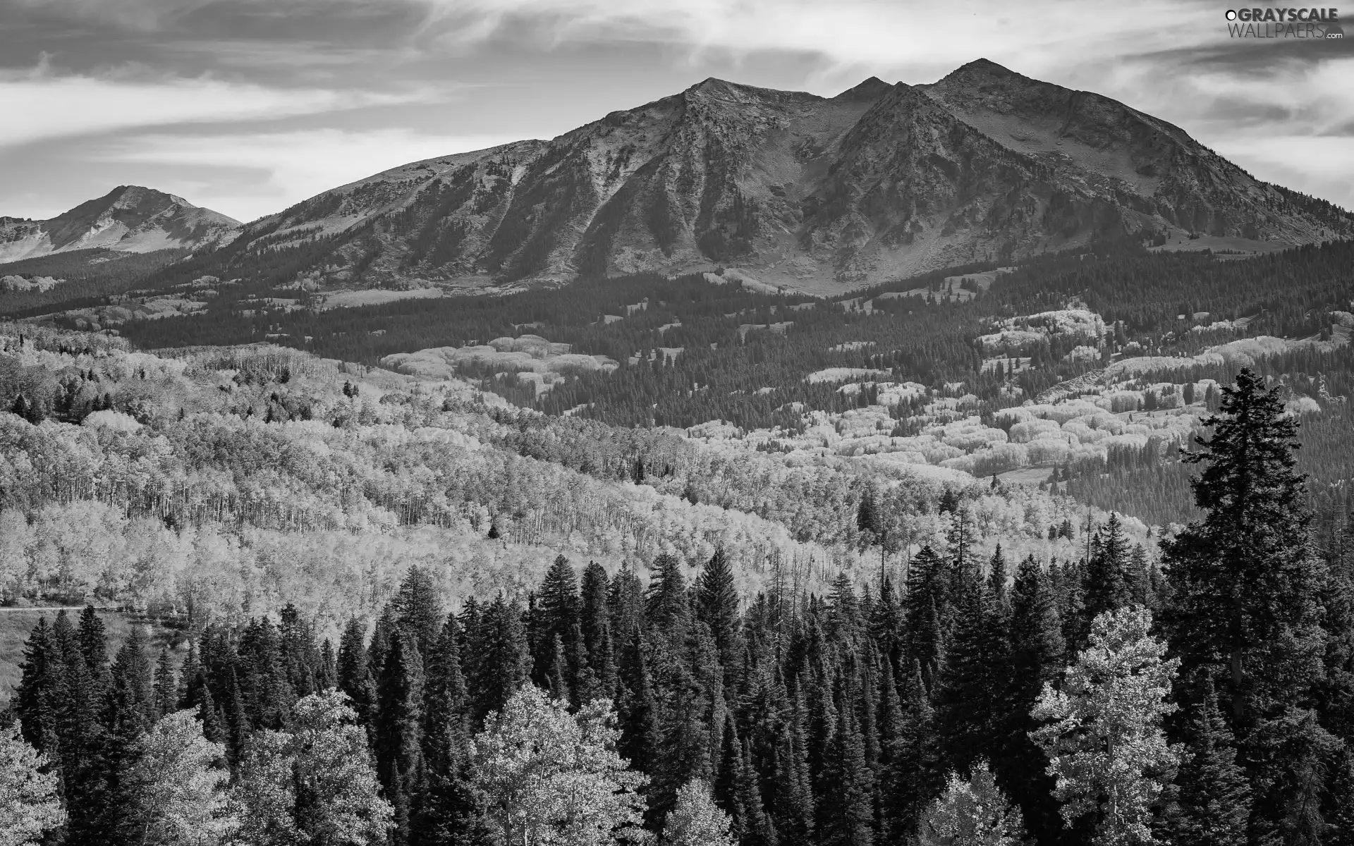 peaks, clouds, viewes, Mountains, forest, trees, autumn