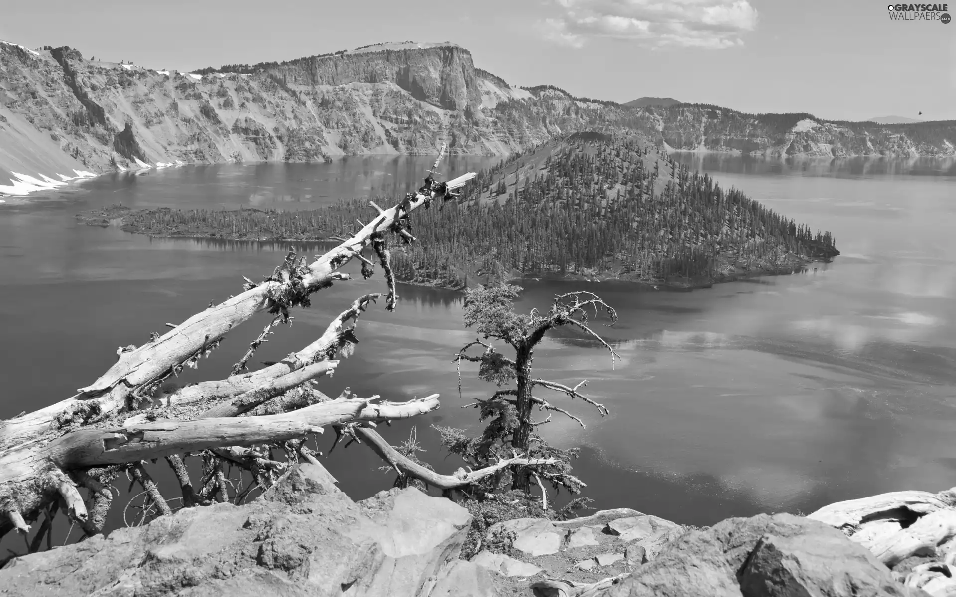 trees, Island, broken, Mountains, lake, viewes, Lod on the beach