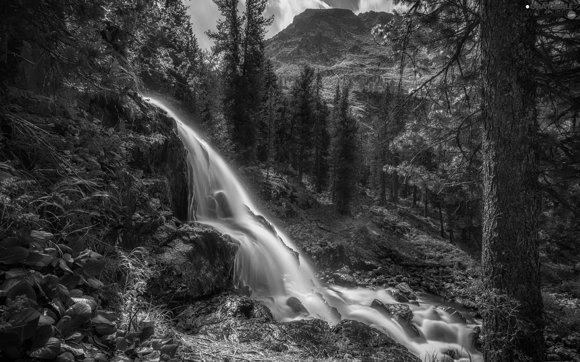 forest, waterfall, viewes, Mountains, Rocks, trees, Plants