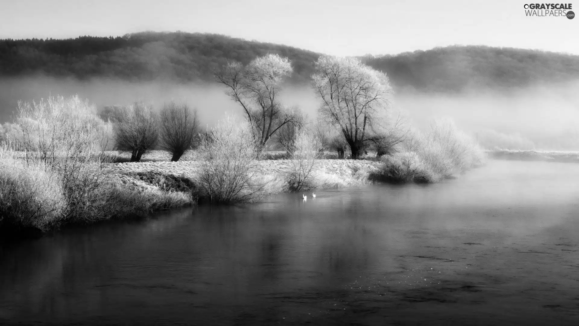viewes, River, Mountains, winter, Fog, trees