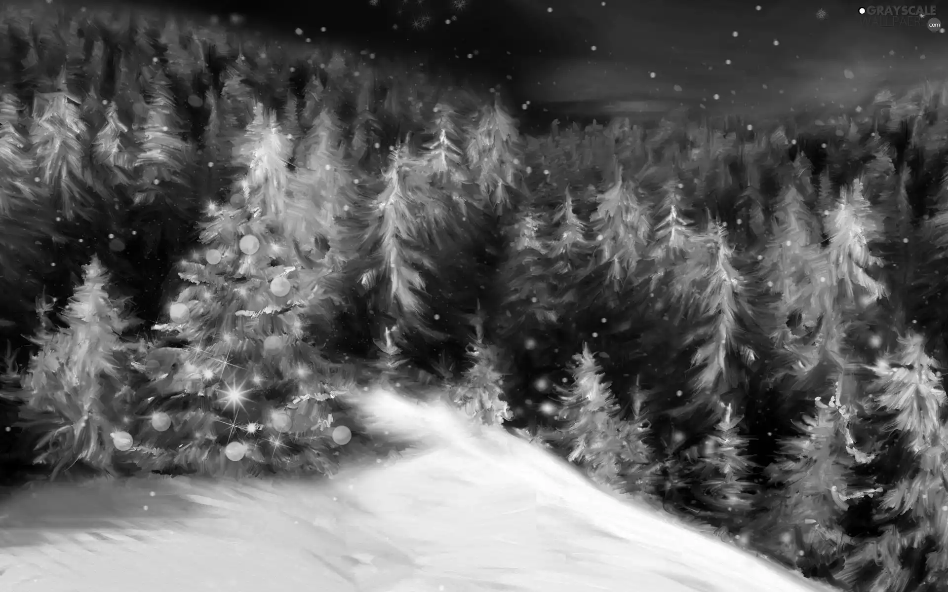 Mountains, winter, forest, christmas tree, Spruces
