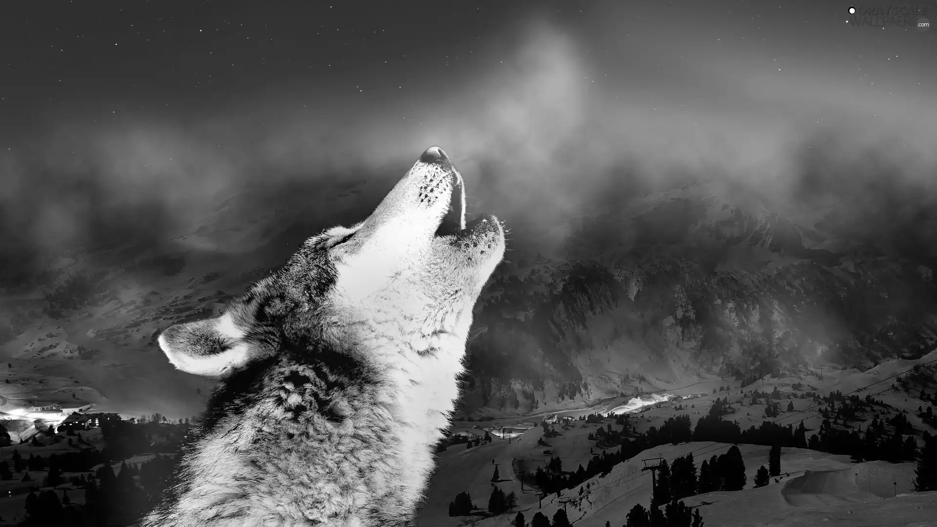 Mountains, Wolf, winter