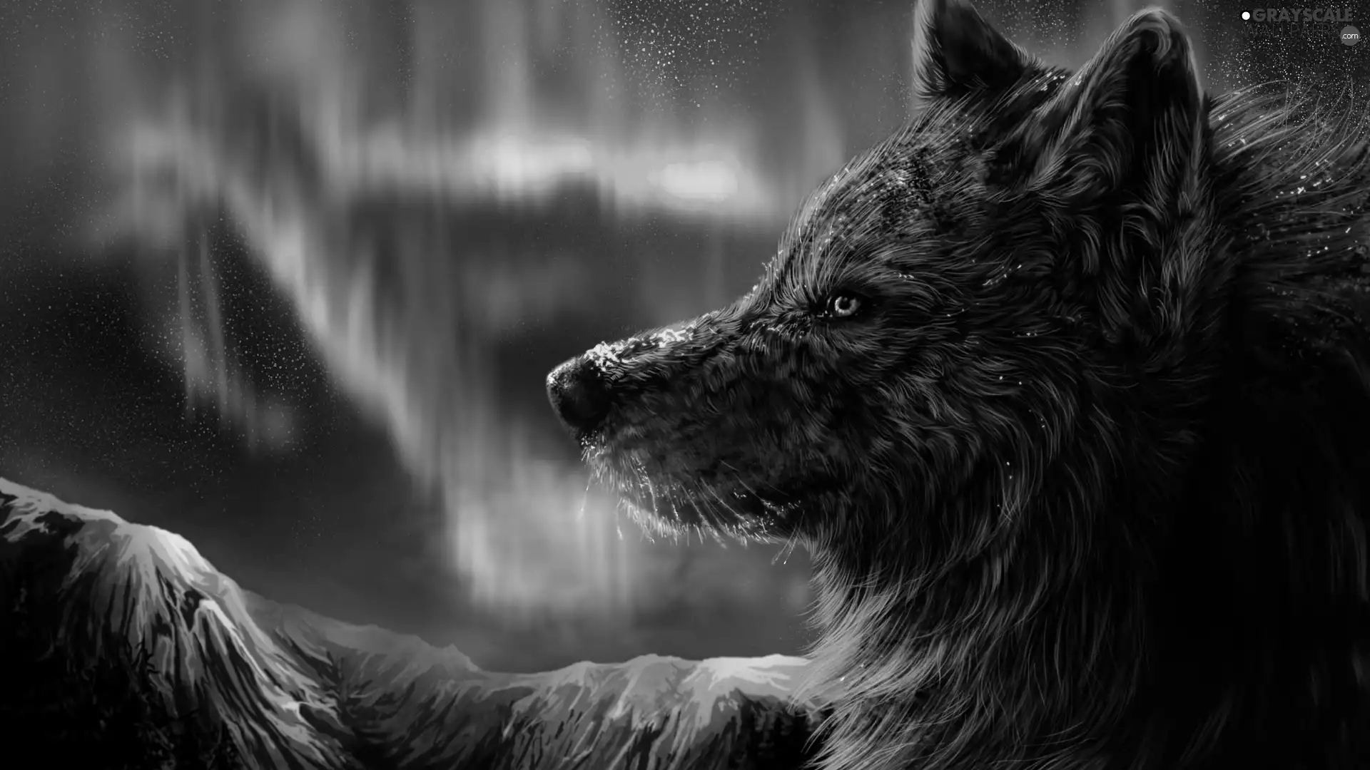 Wolf, Polaris, Mountains, dawn