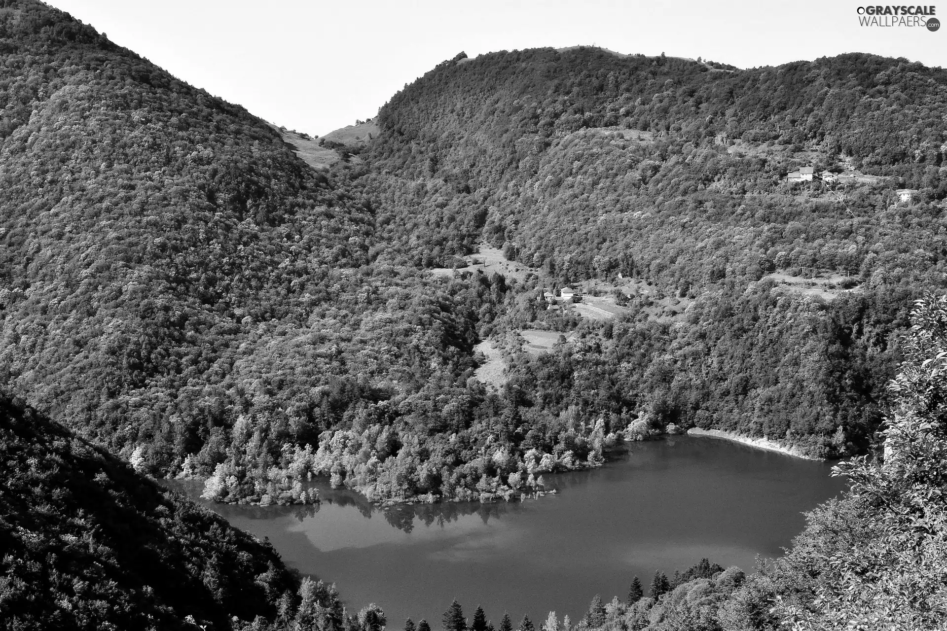 Mountains, lake, woods