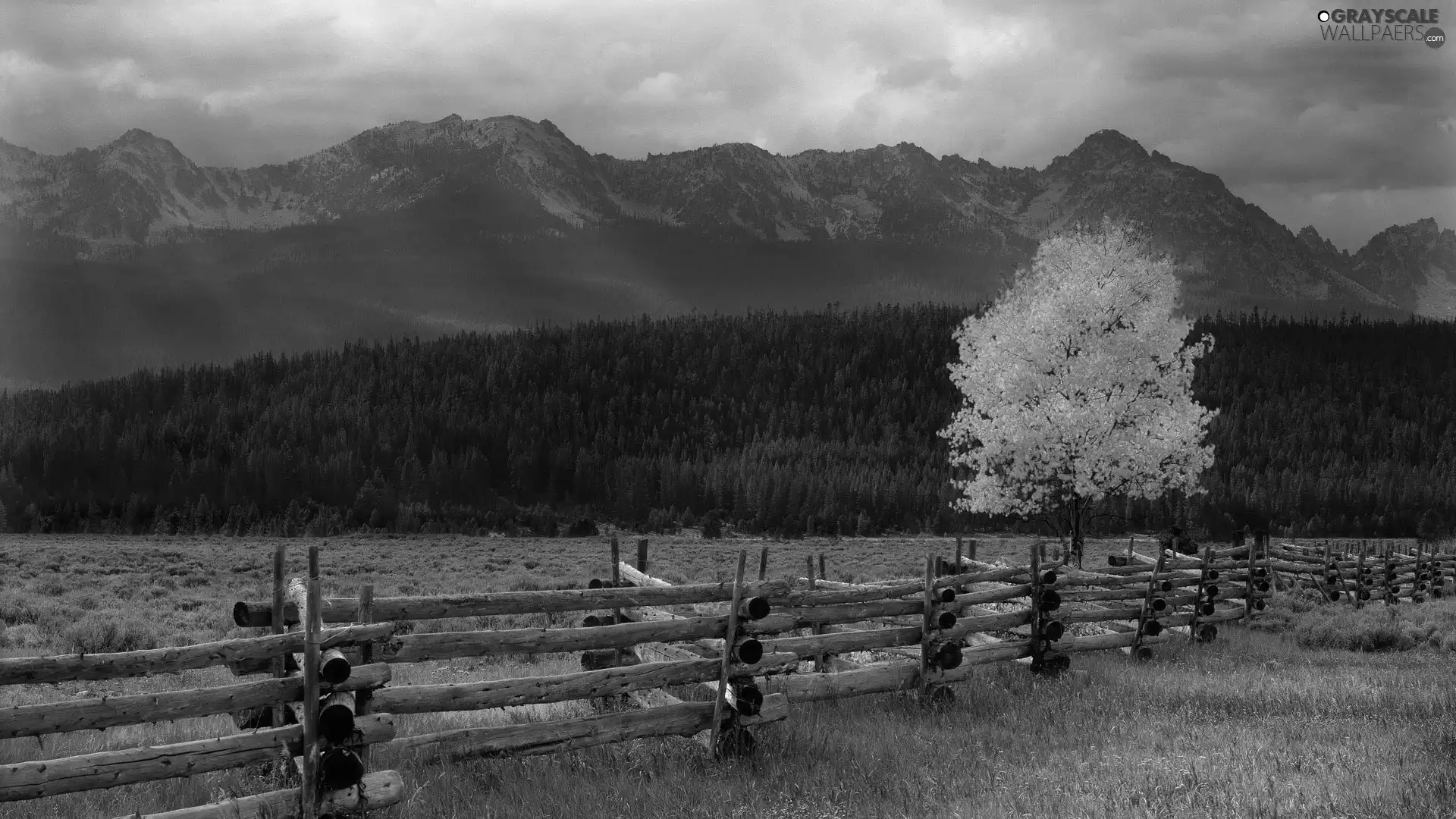 Mountains, woods, Fance, trees, Meadow