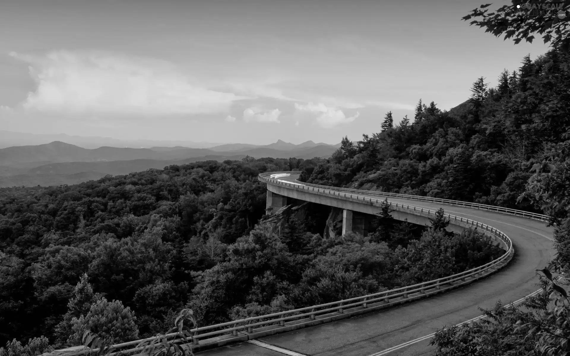 Mountains, Way, woods