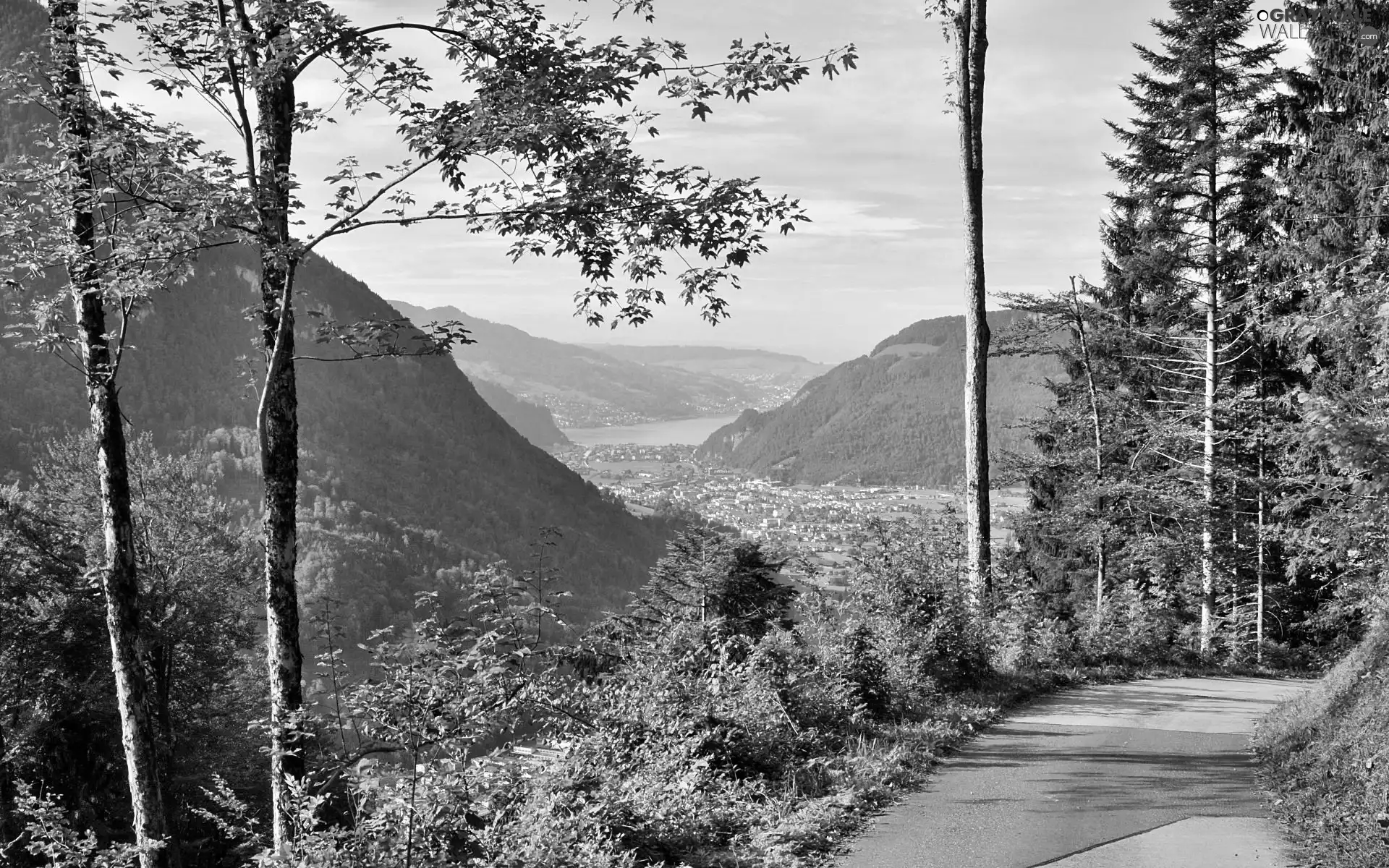Mountains, Way, woods