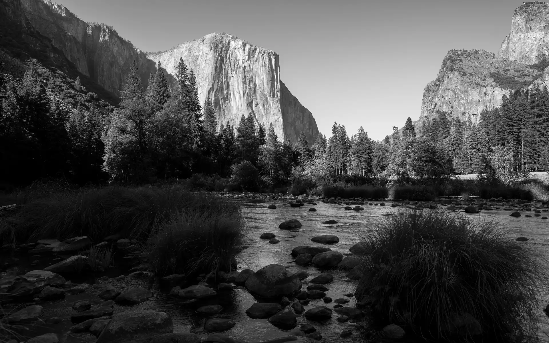 Sierra Nevada Mountains, State of California, Valley, Yosemite National Park, The United States, forest, rivers