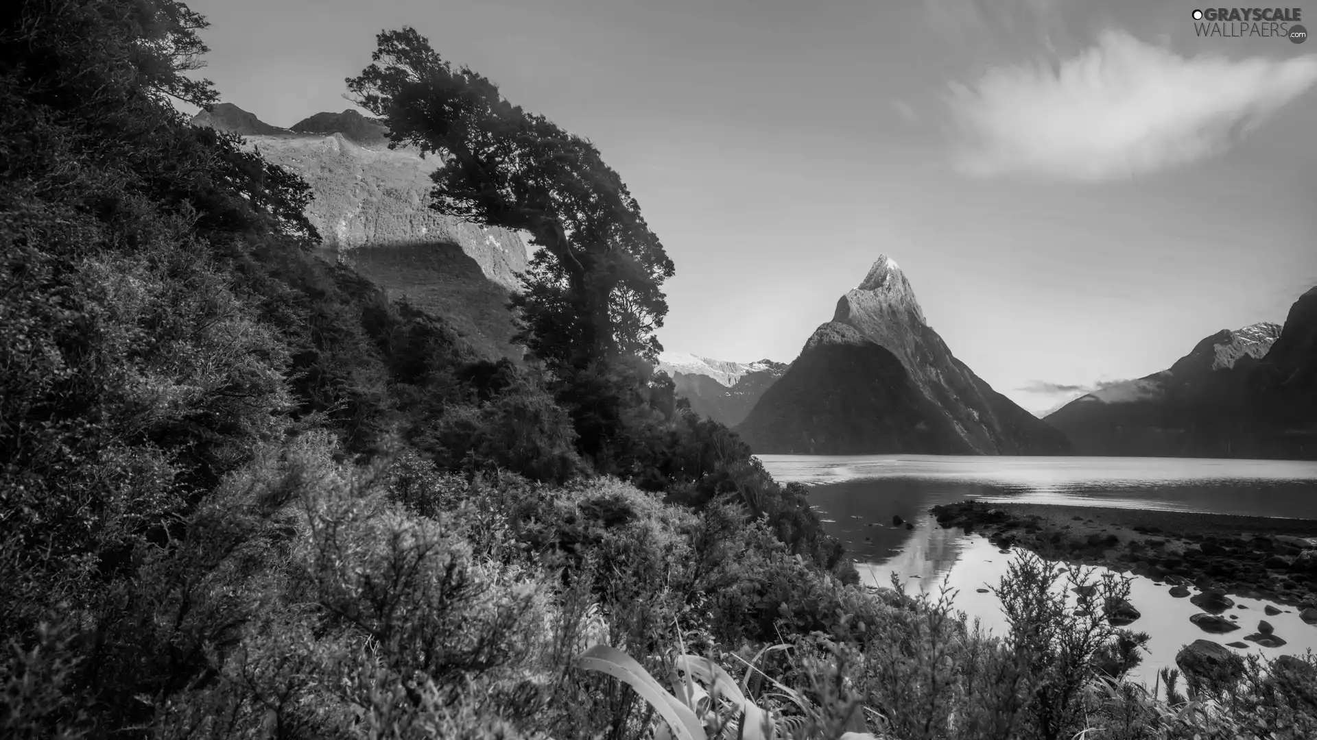 New Zeland, Bush, mountains