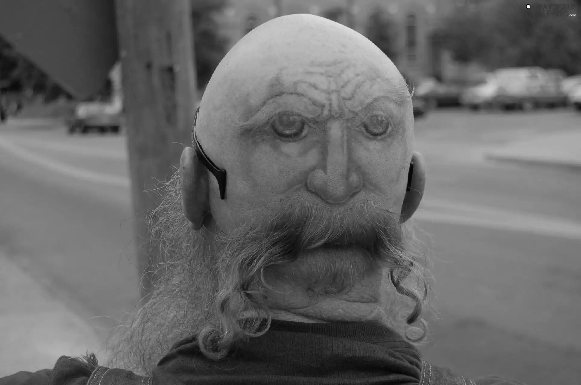 baldhead, Tattoo, moustache, Head