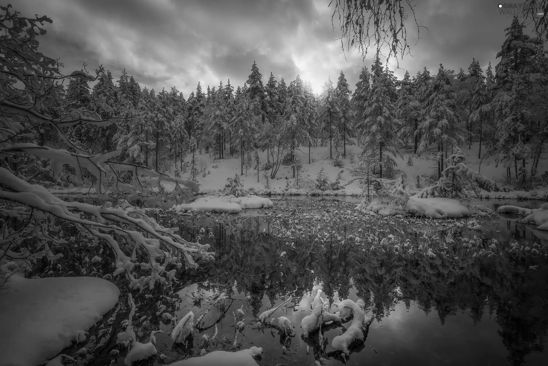 winter, Pond - car, viewes, Ringerike Municipality, Norway, trees, snow