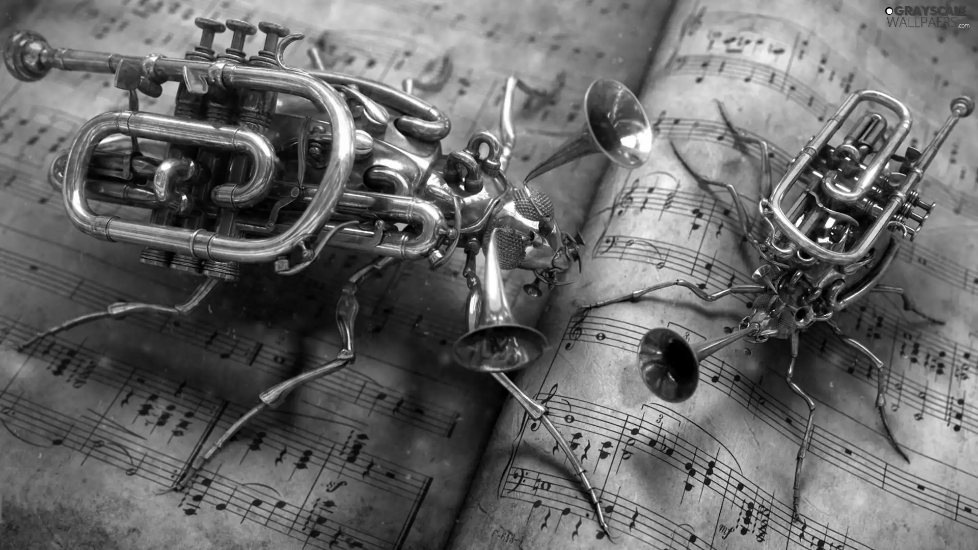 Tunes, instruments, music, insects