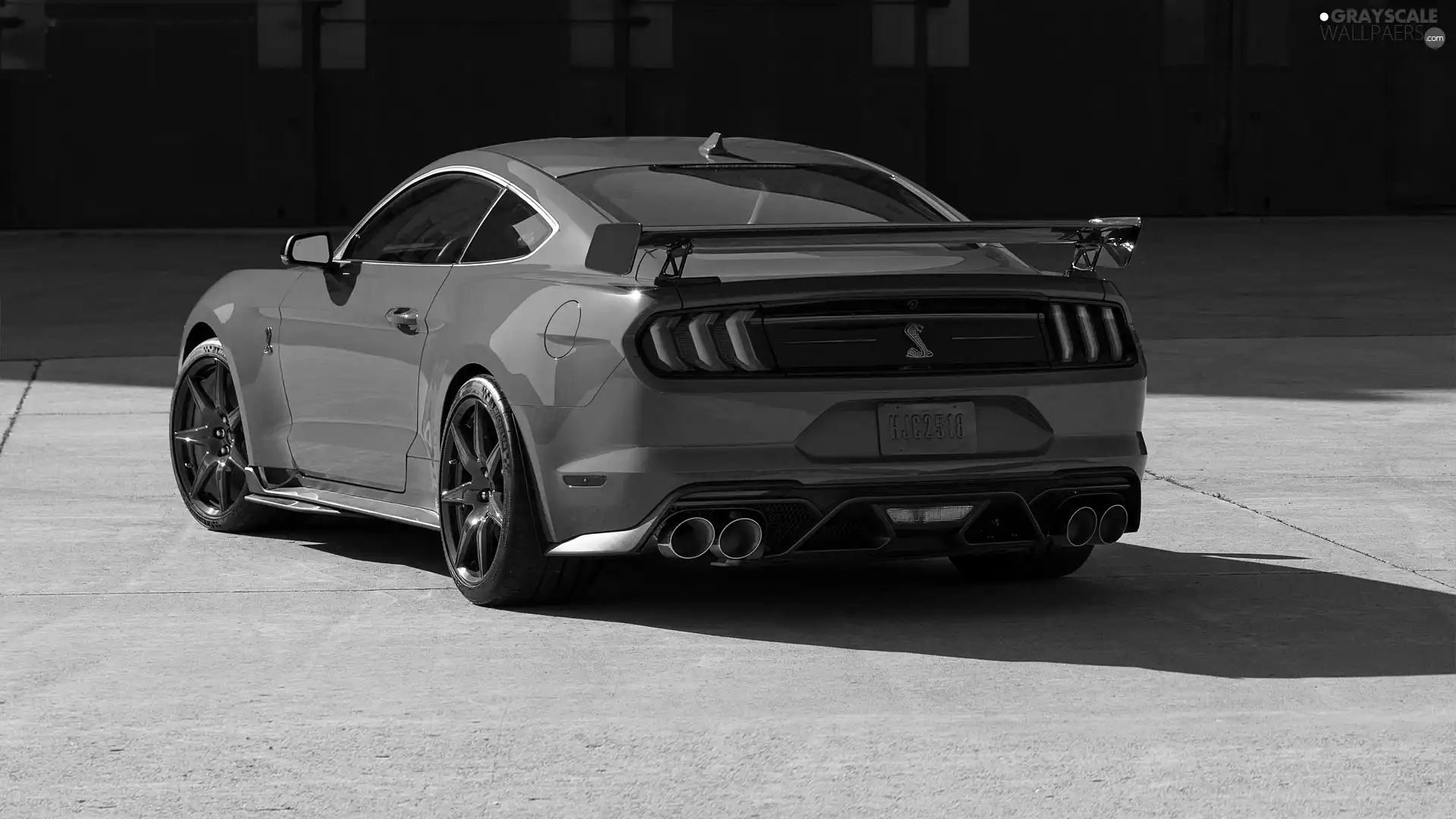 Ford Mustang Shelby GT500, Back