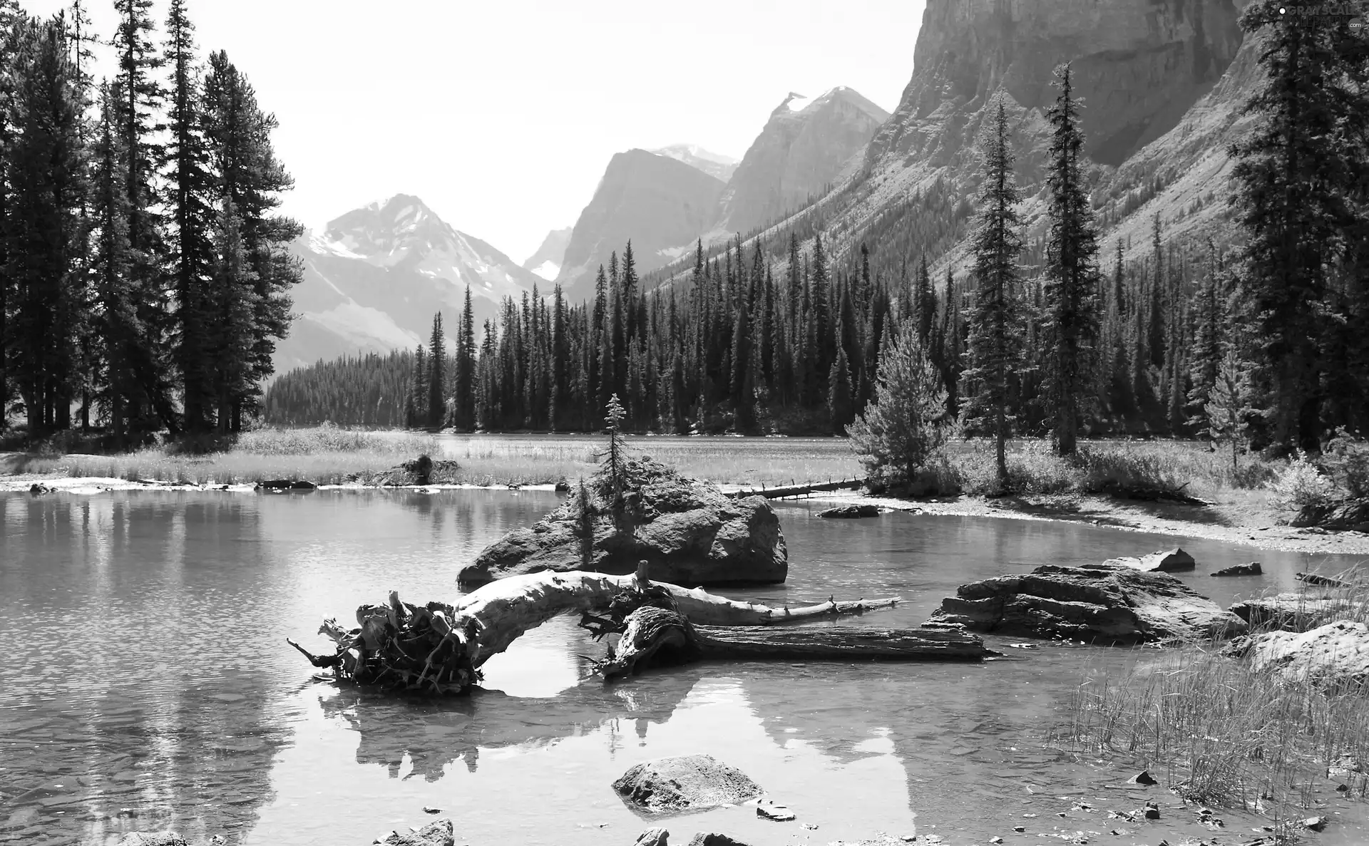 National Park, Canada, lake, forest, Mountains