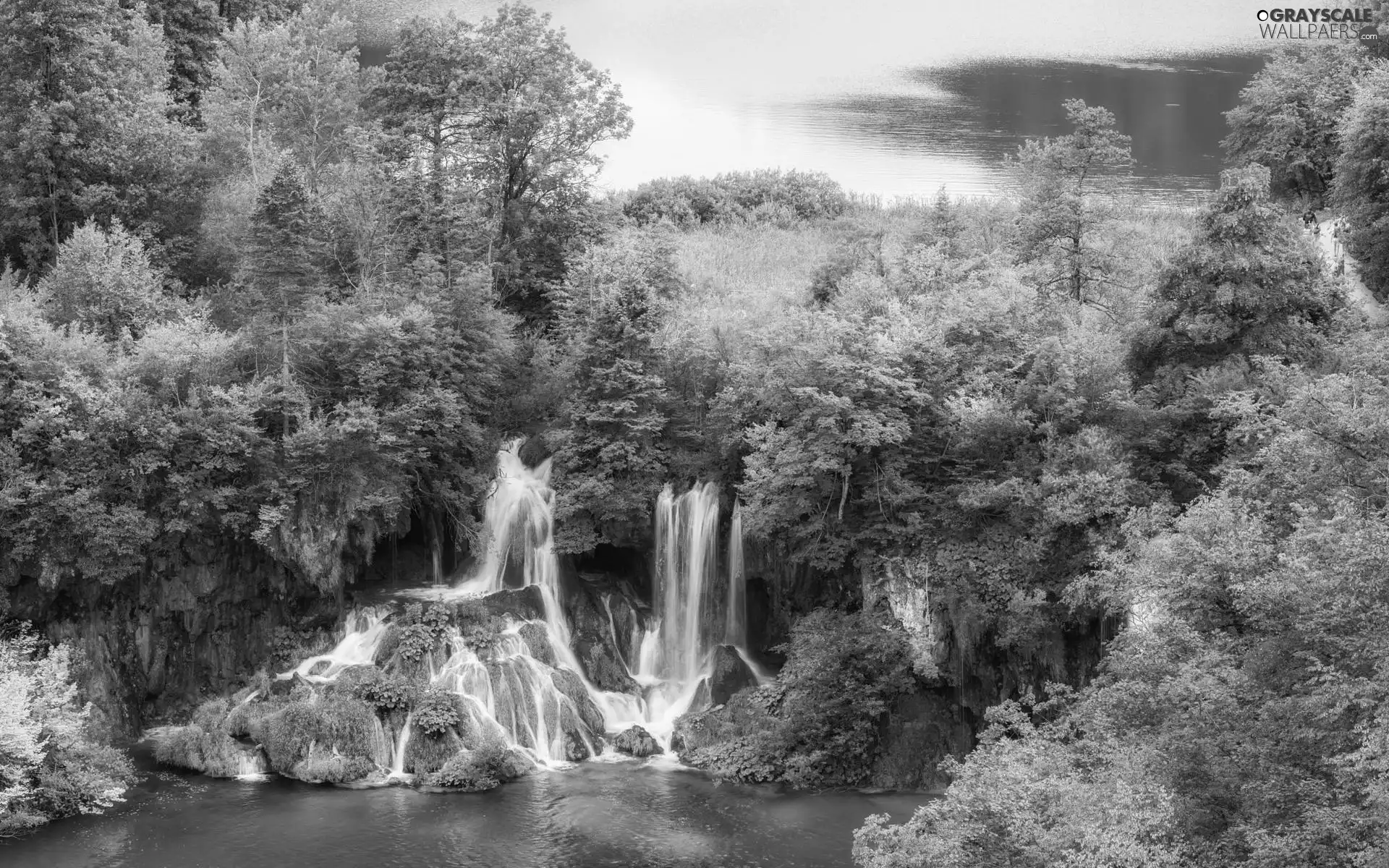 trees, viewes, Coartia, Plants, Plitvice Lakes National Park, lakes, waterfalls, rocks