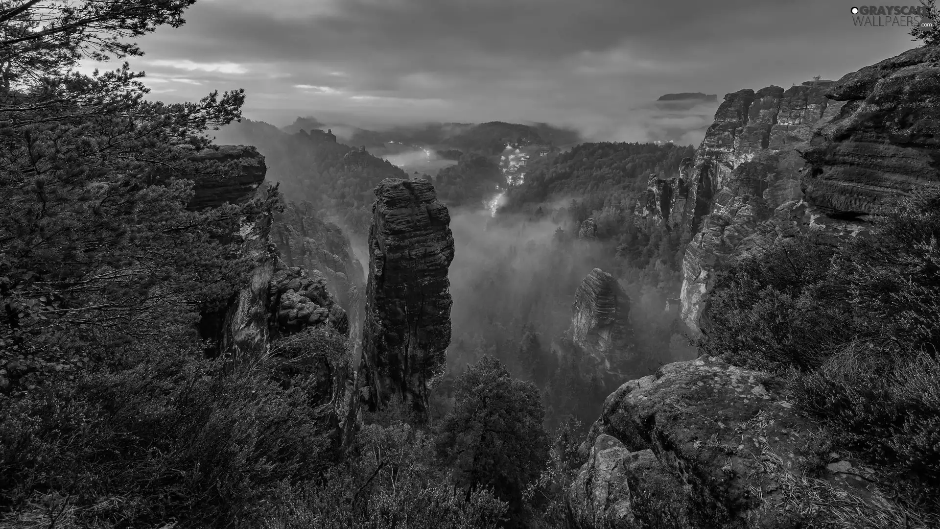 trees, viewes, Germany, Plants, Saxon Switzerland National Park, rocks, Mountains, Fog