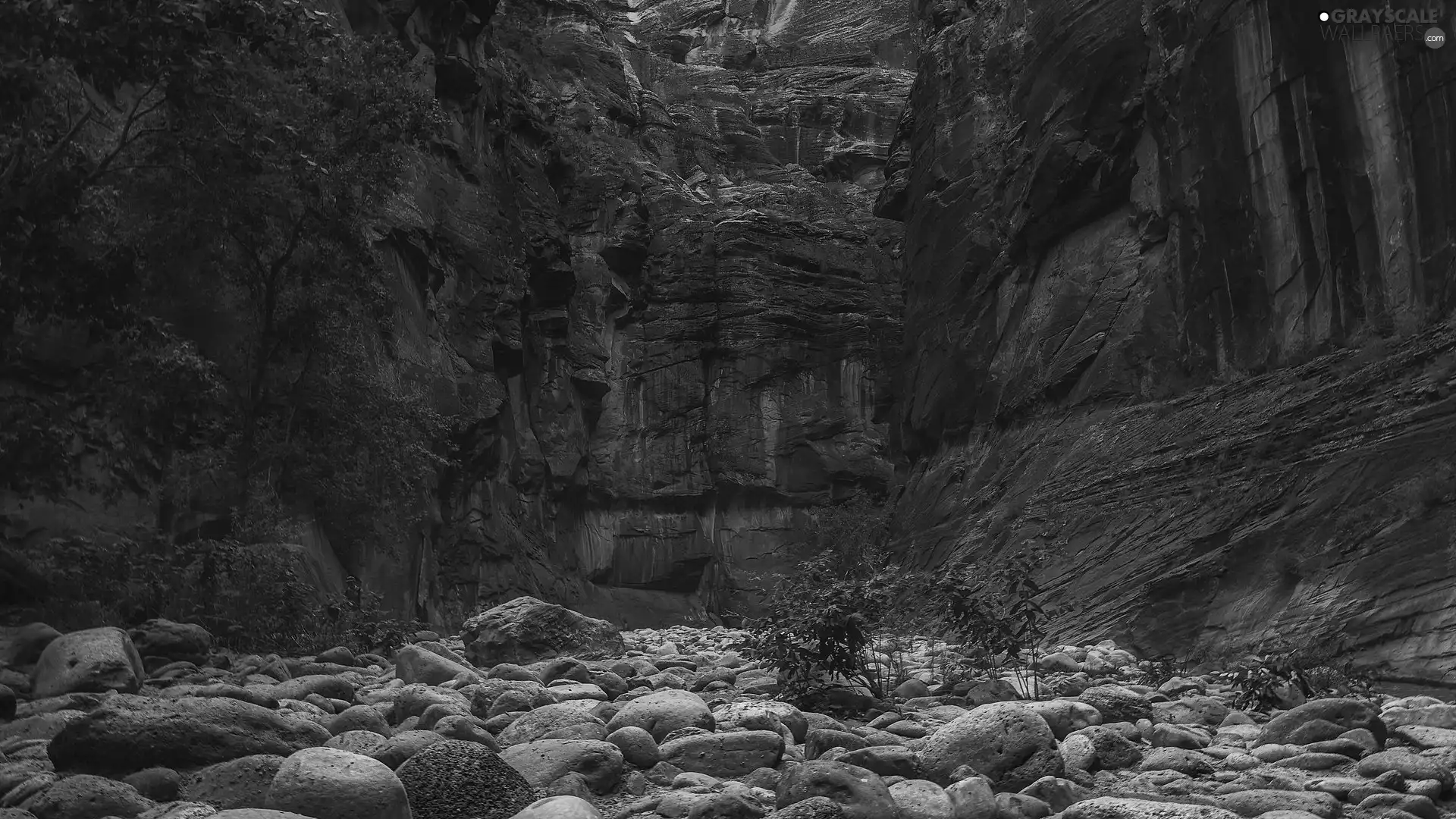 viewes, Stones, Utah, trees, rocks, Zion National Park, The United States