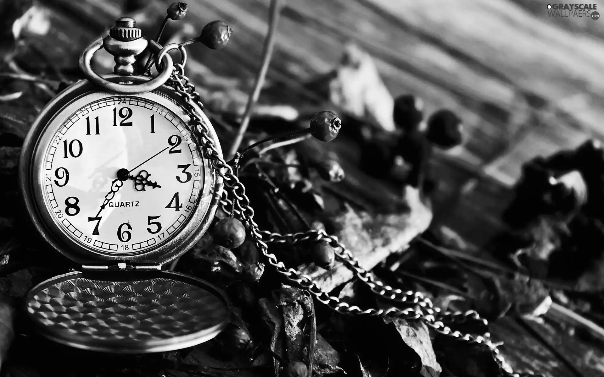 neck chain, Watch, Twigs, blur, withered, Retro