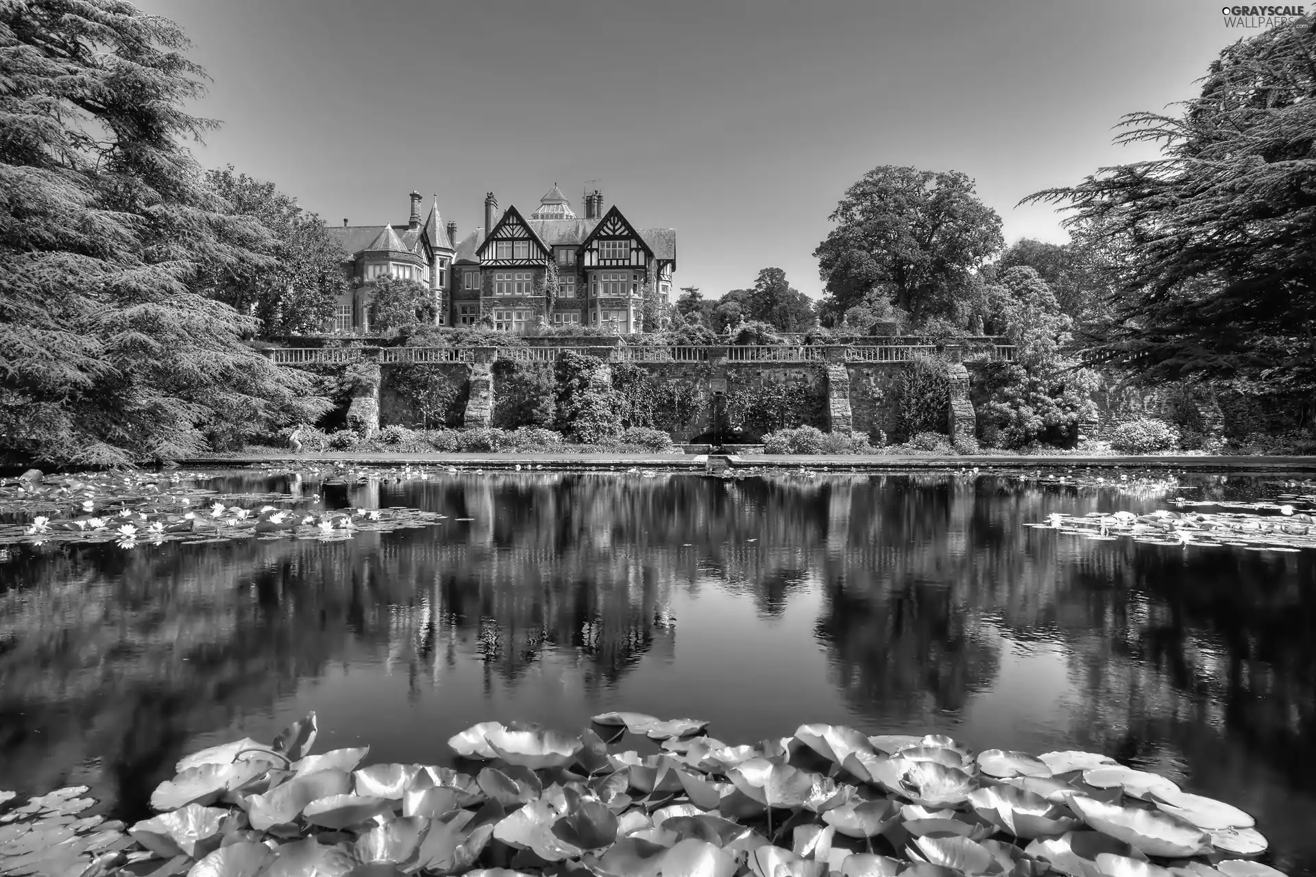 Castle, Pond - car, Nenufary, Garden