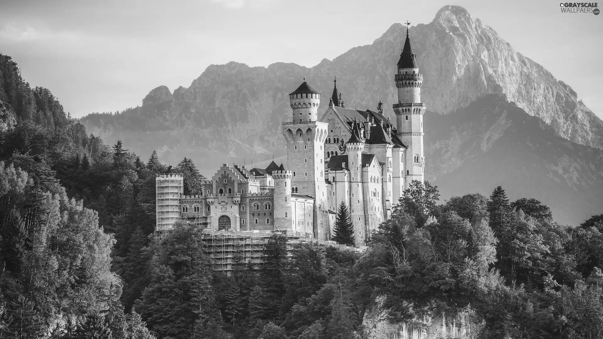 Alps, Mountains, Schwangau Commune, trees, woods, Bavaria, autumn, Neuschwanstein Castle, Germany, viewes, rocks, Hill
