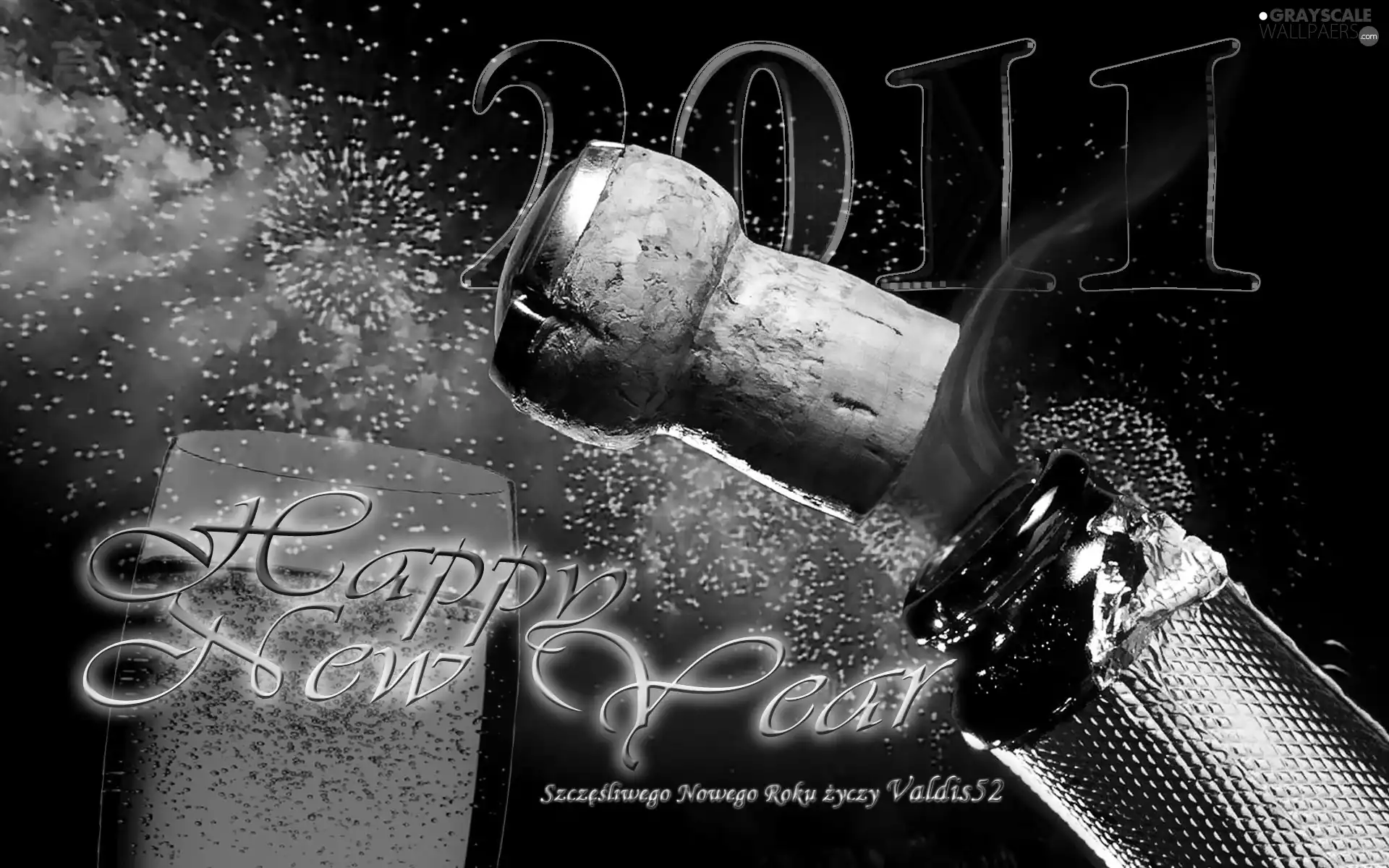 Wishes, New Year 2011
