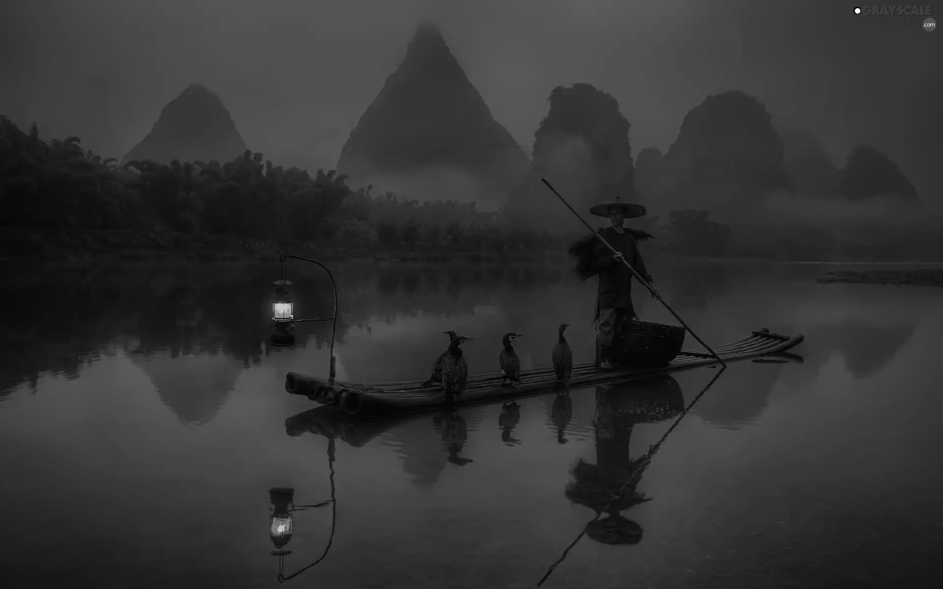 Night, Boat, cormorants, Human, River