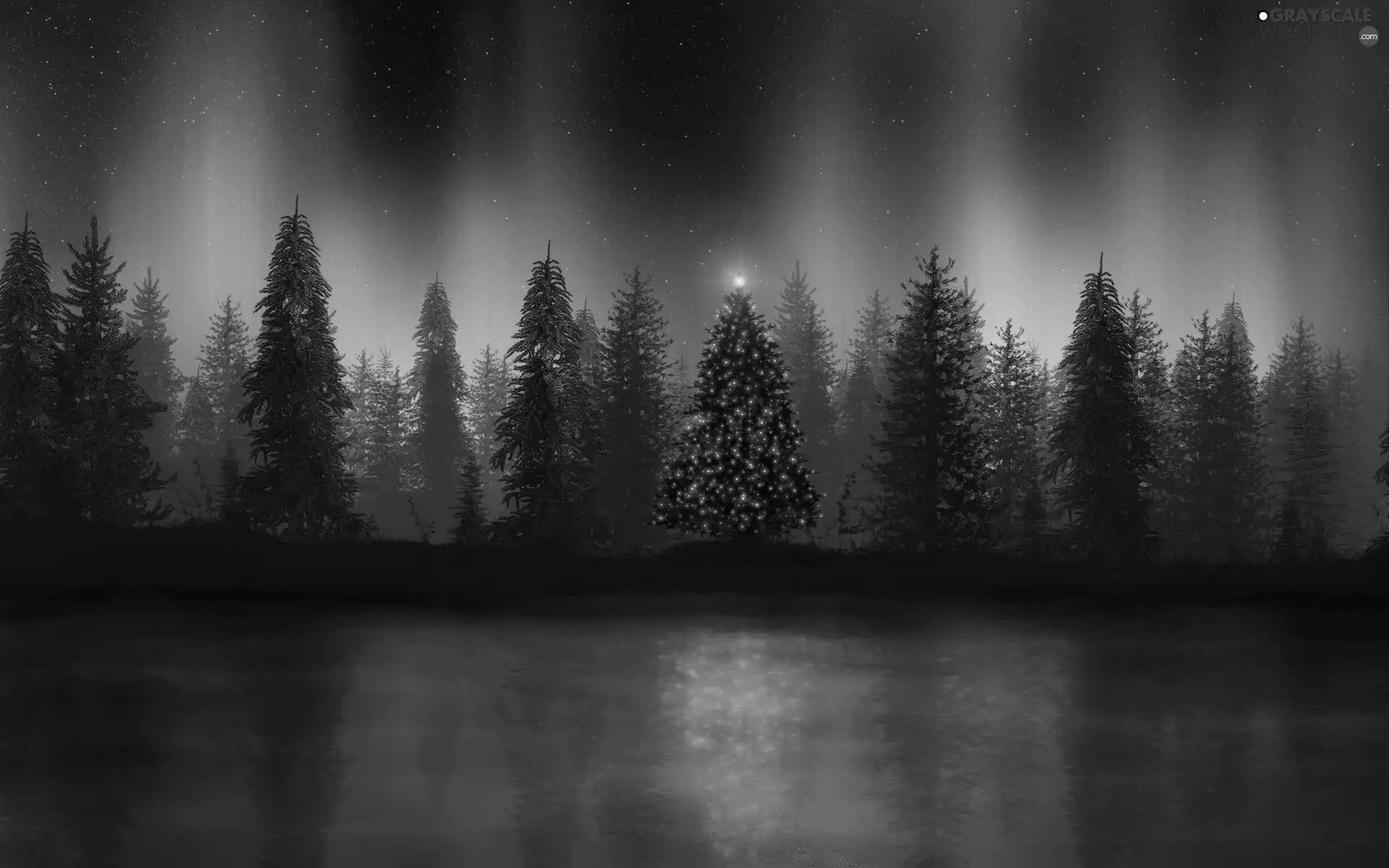 illuminated, forest, Night, christmas tree