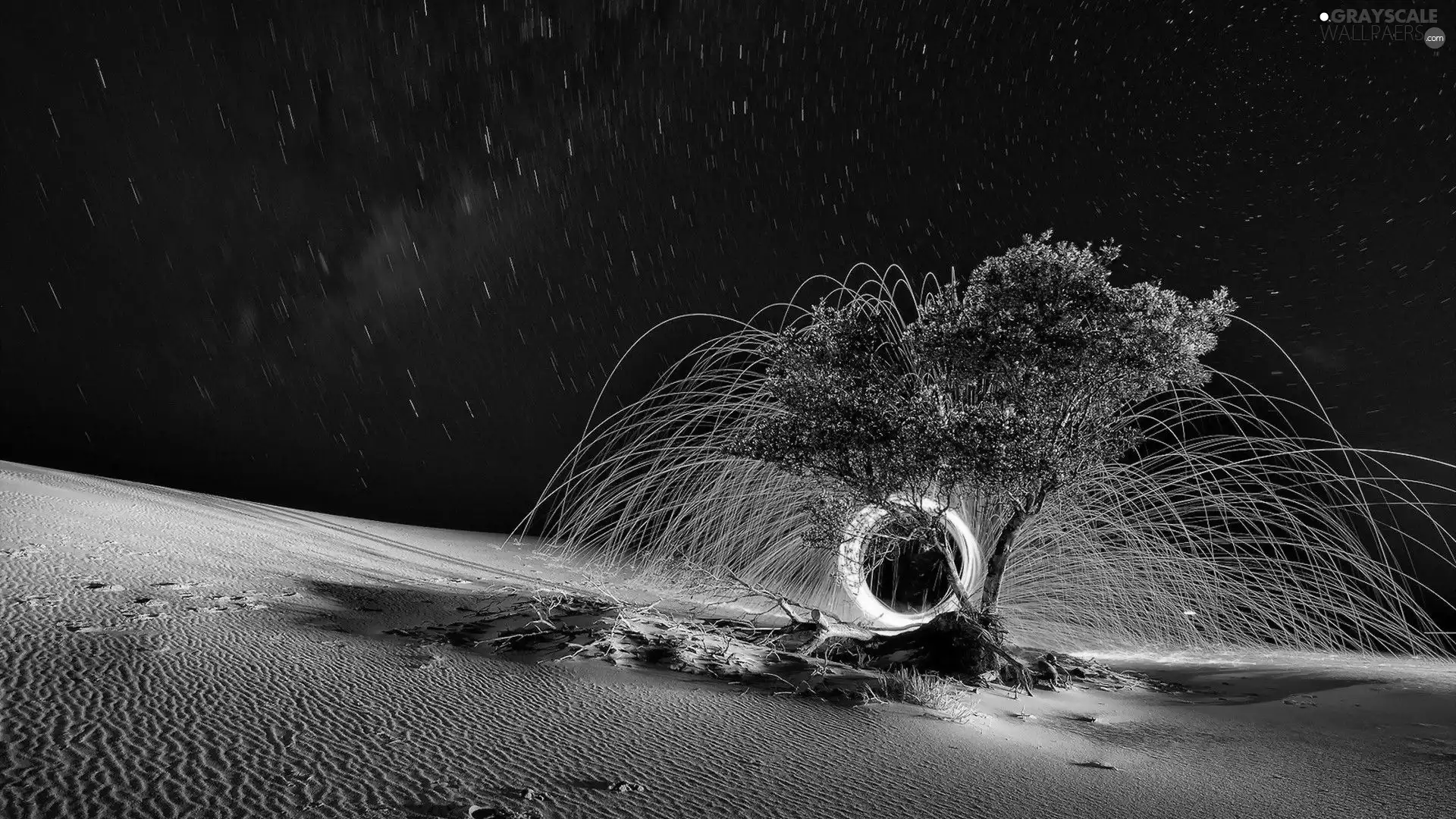 Desert, trees, Night, Sand