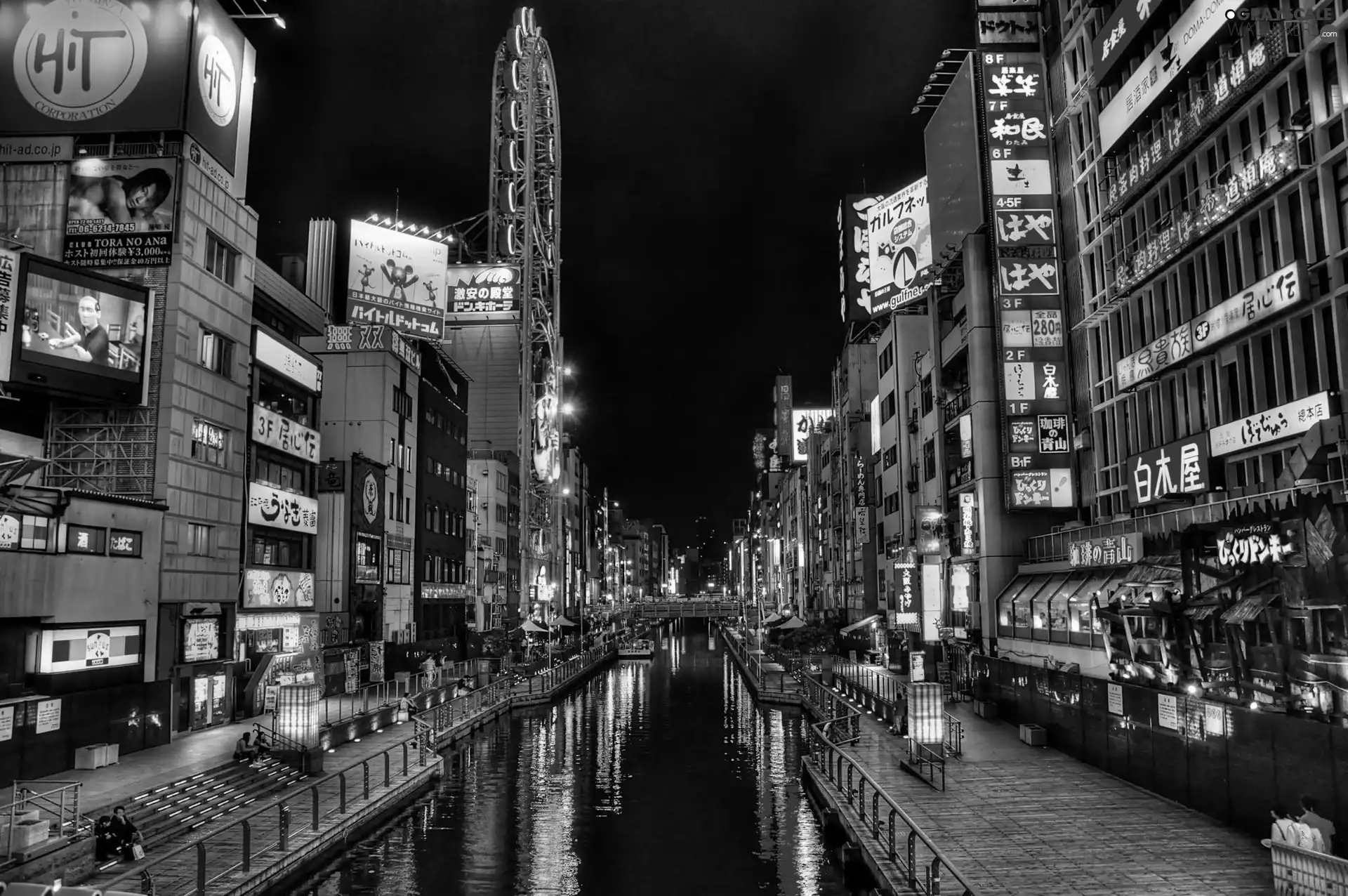 Japan, Town, Night, Osaka