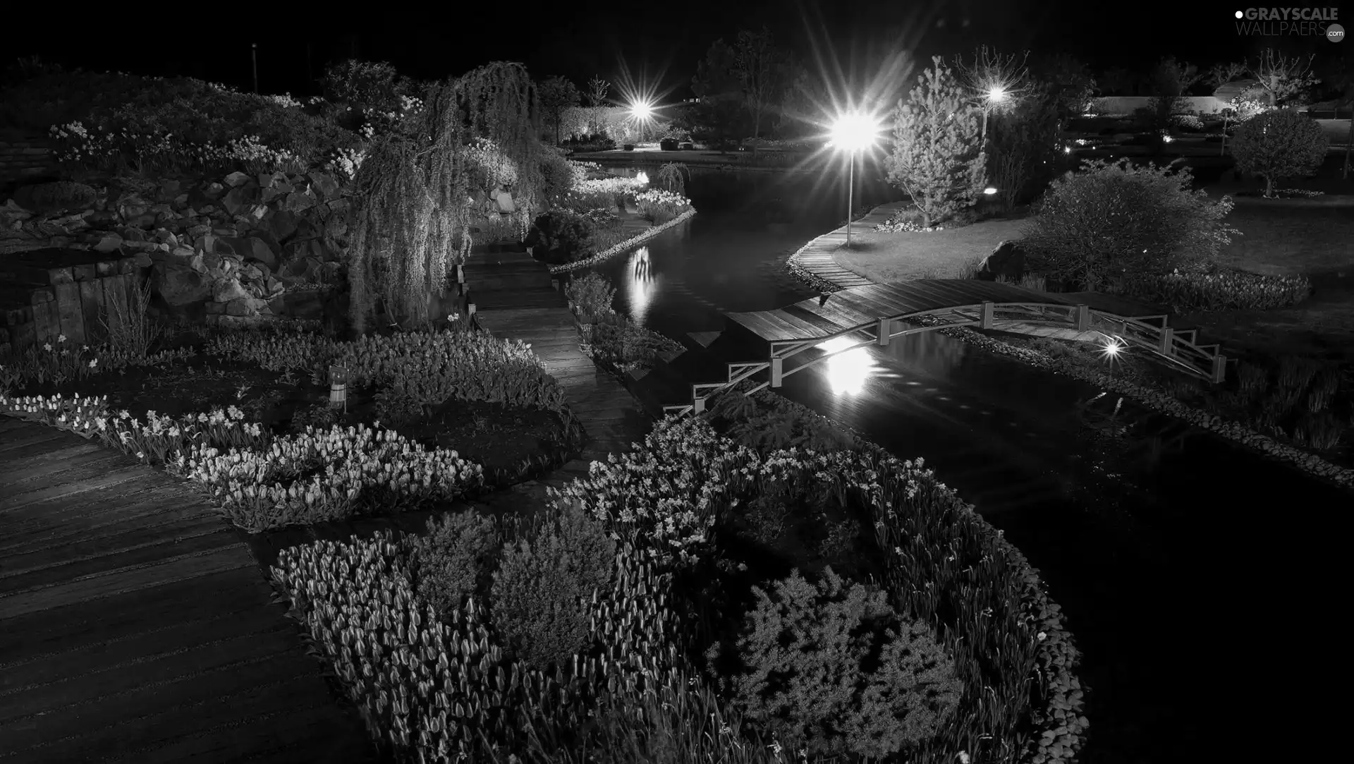 Night, Lamps, Flowers, bridges, Garden