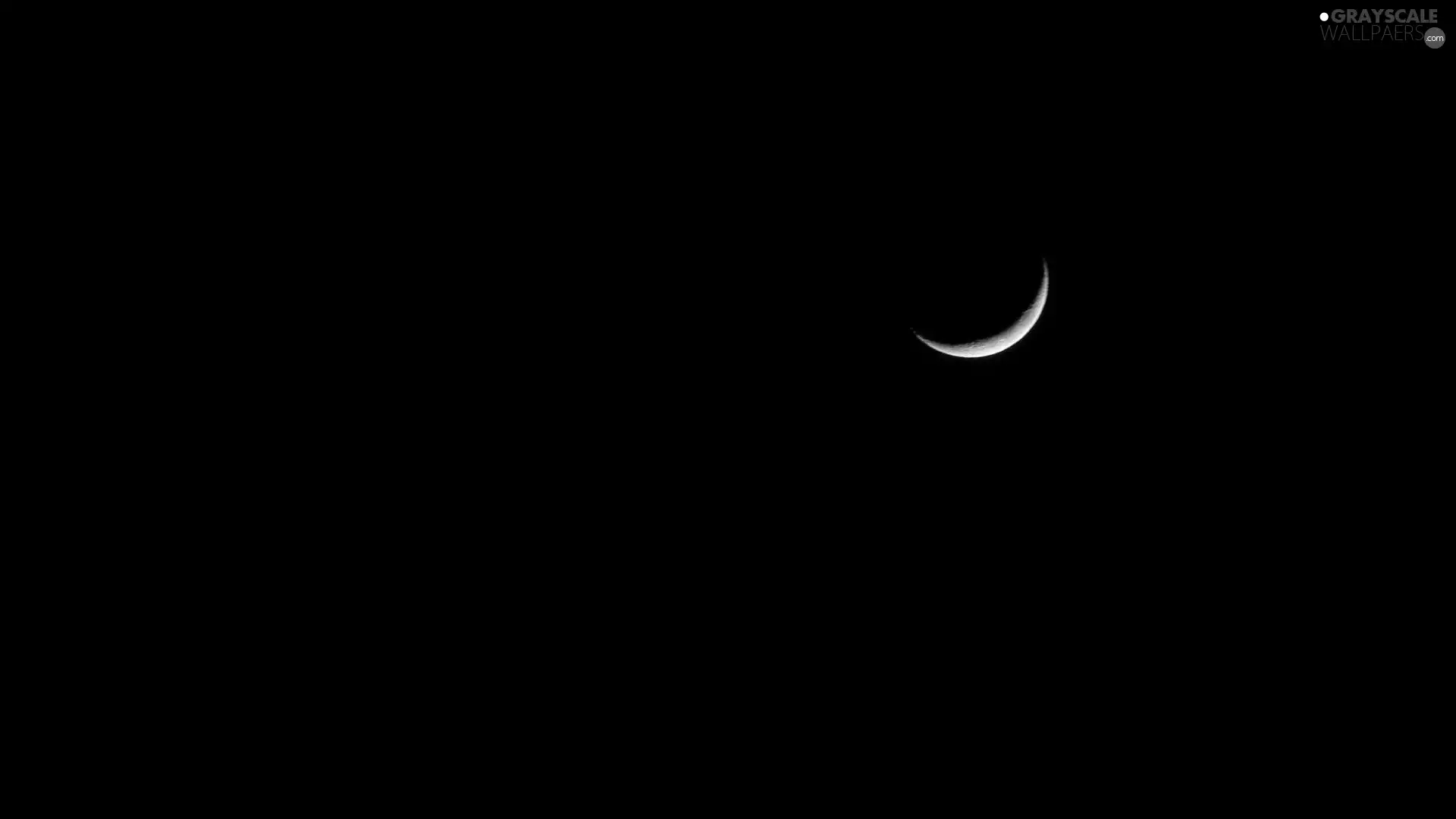 moon, night