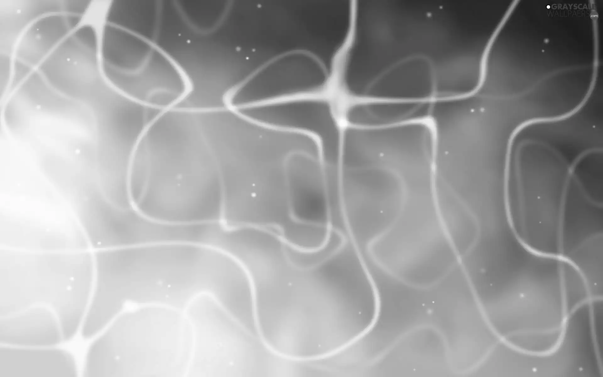 texture, Nitechka