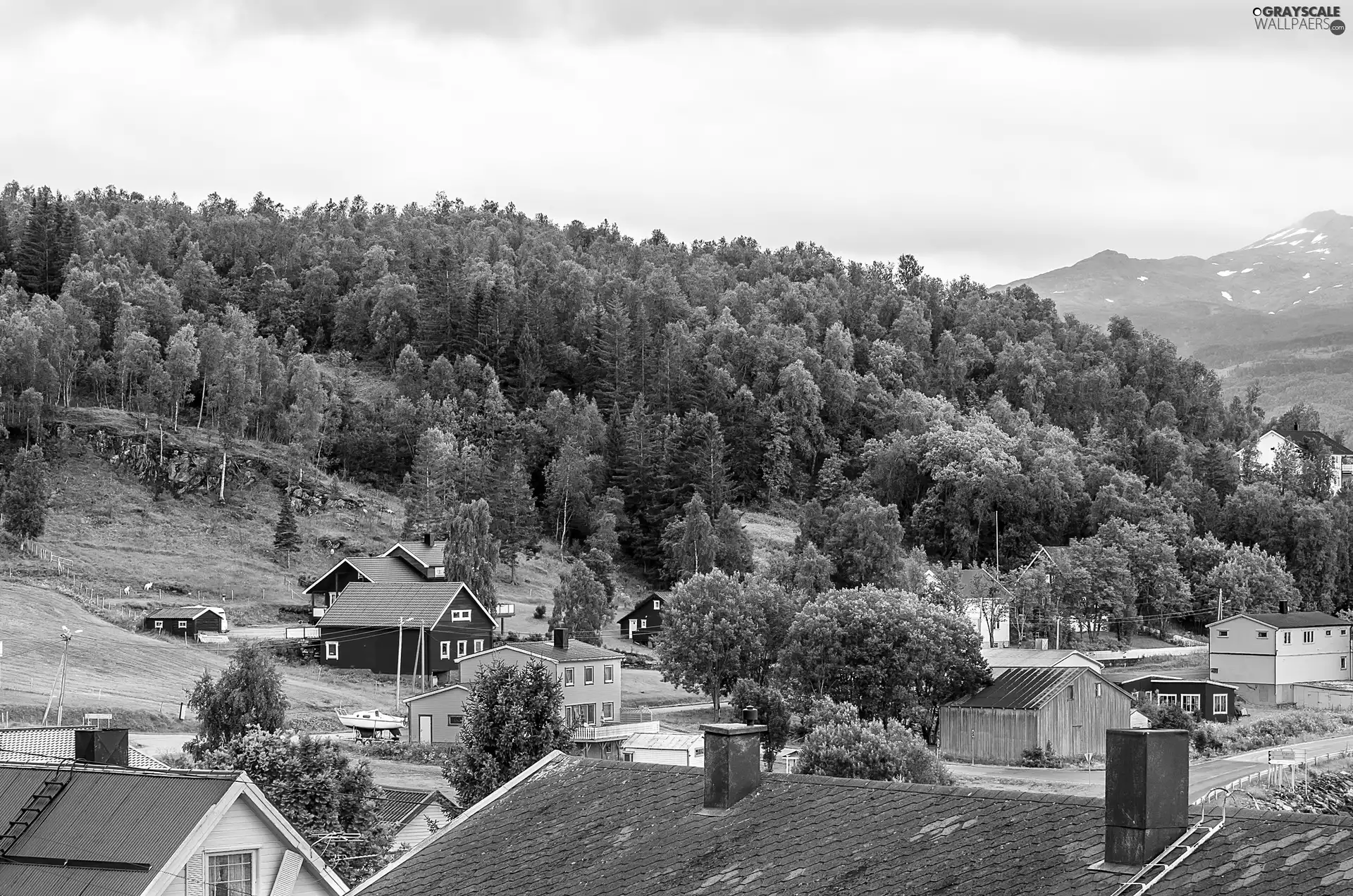 Mountains, Houses, Northern Norway, woods