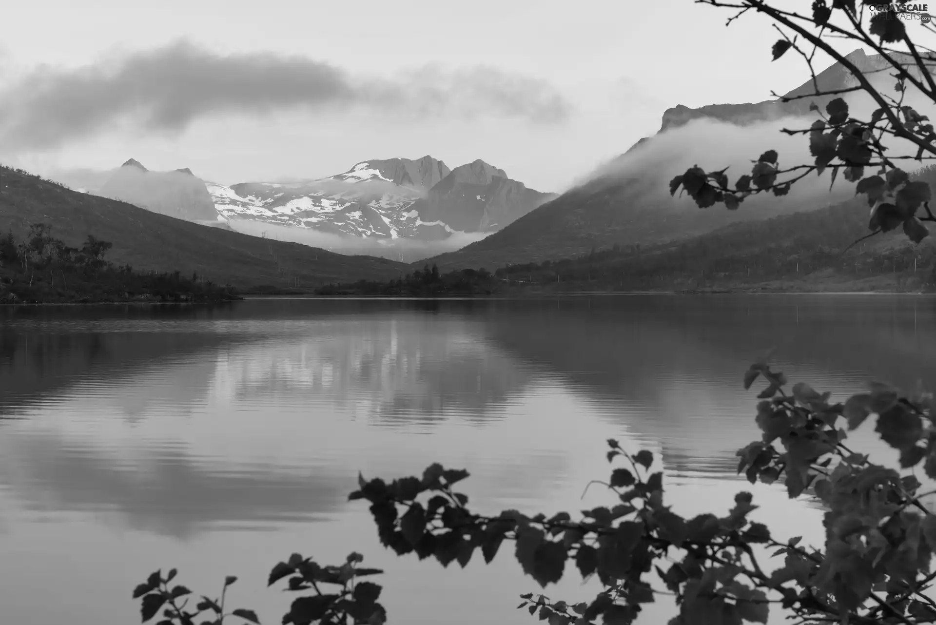 Mountains, lake, trees, viewes, Senja Island, Norway, Fog, reflection, branch pics