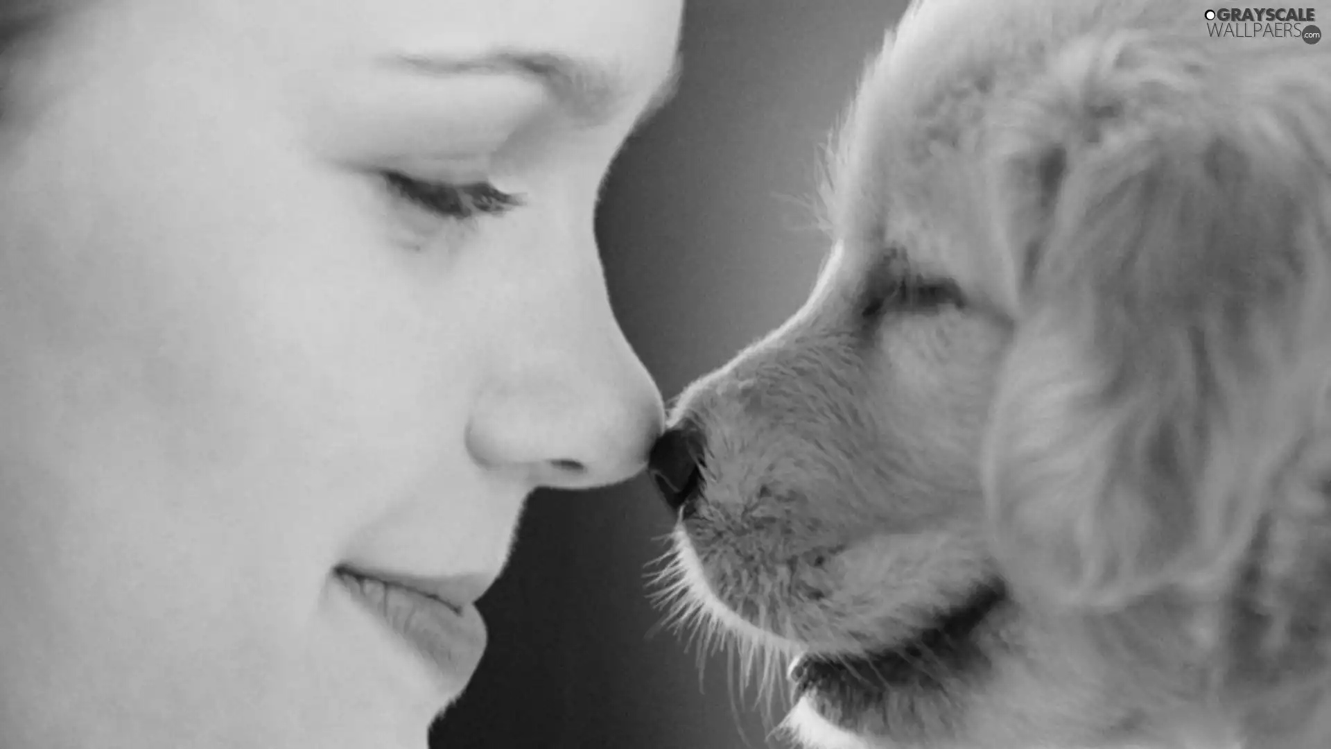##, nose, Women, nose, dog