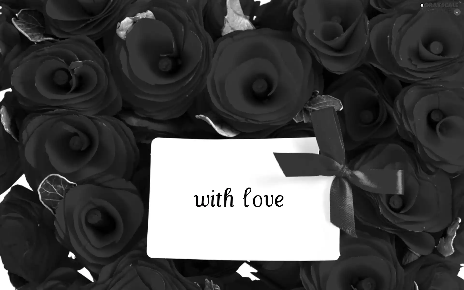 note, Red, roses