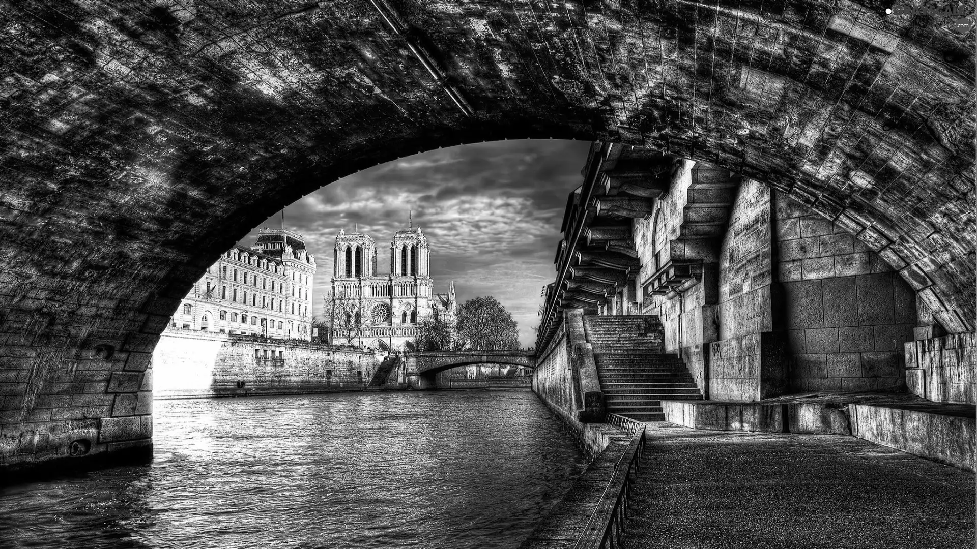 chair, Paris, France, Notre Dame