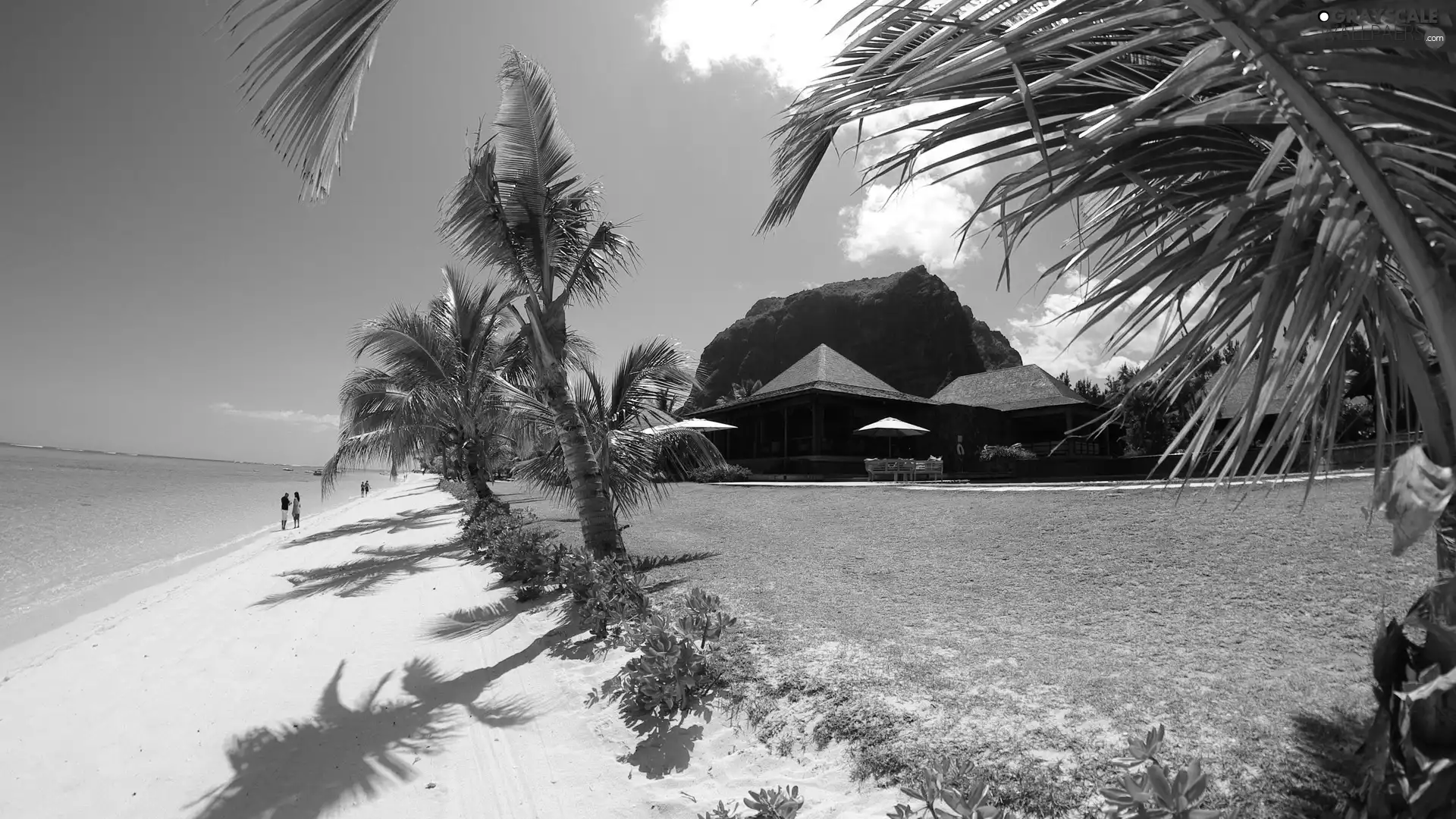 Ocean, Island, Beaches
