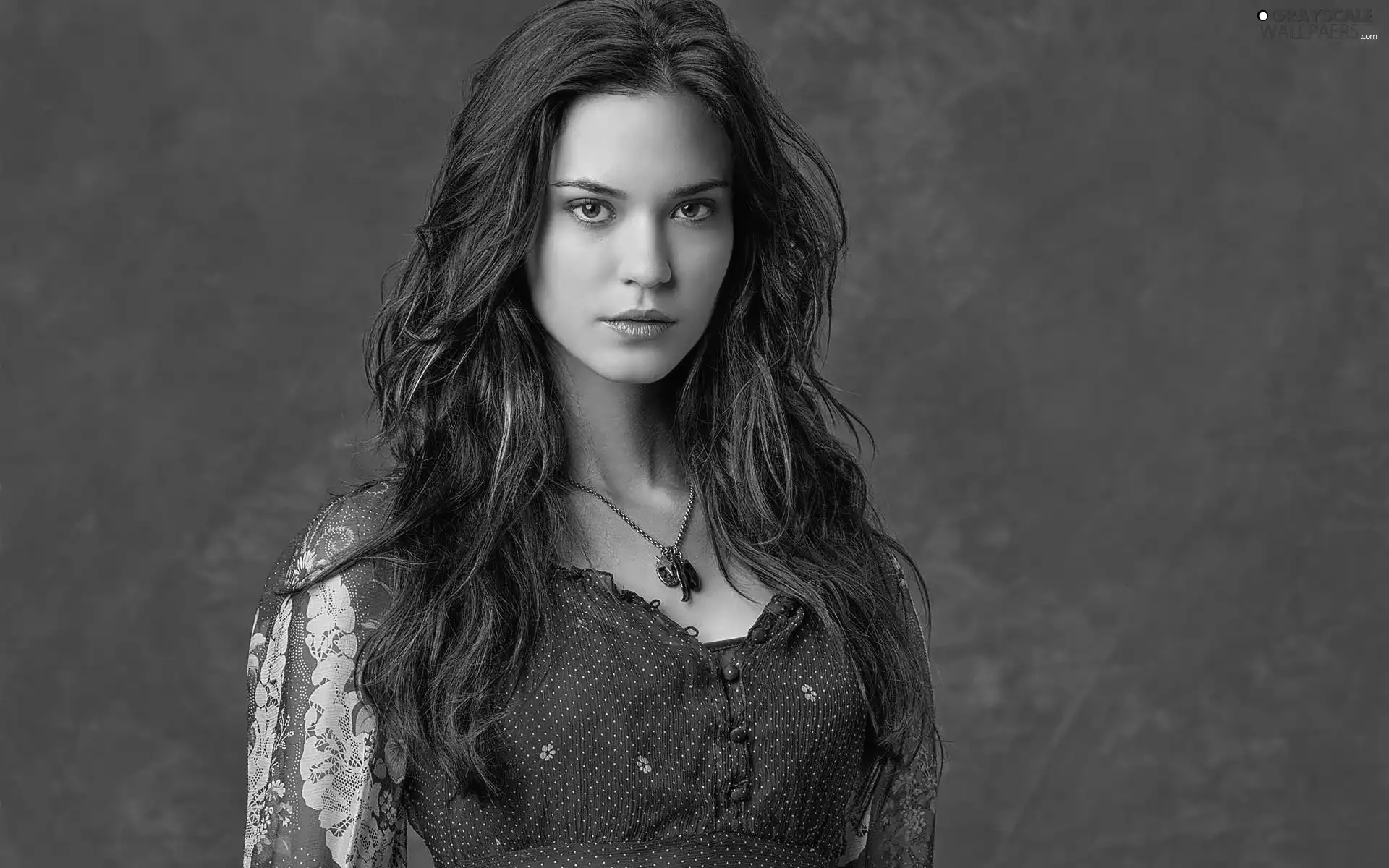 Odette Annable, brunette