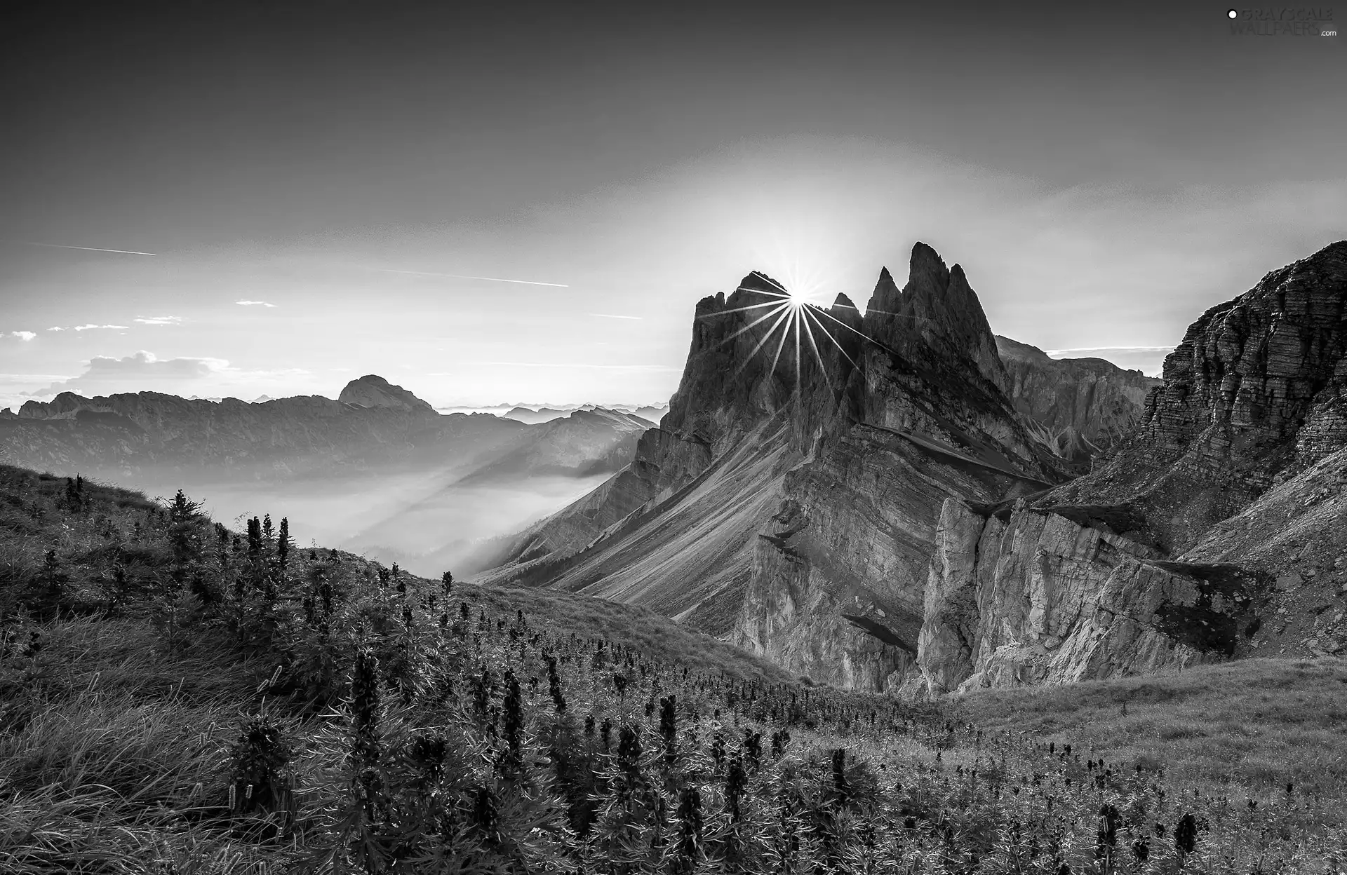 rays of the Sun, Fog, Meadow, Flowers, Mountains