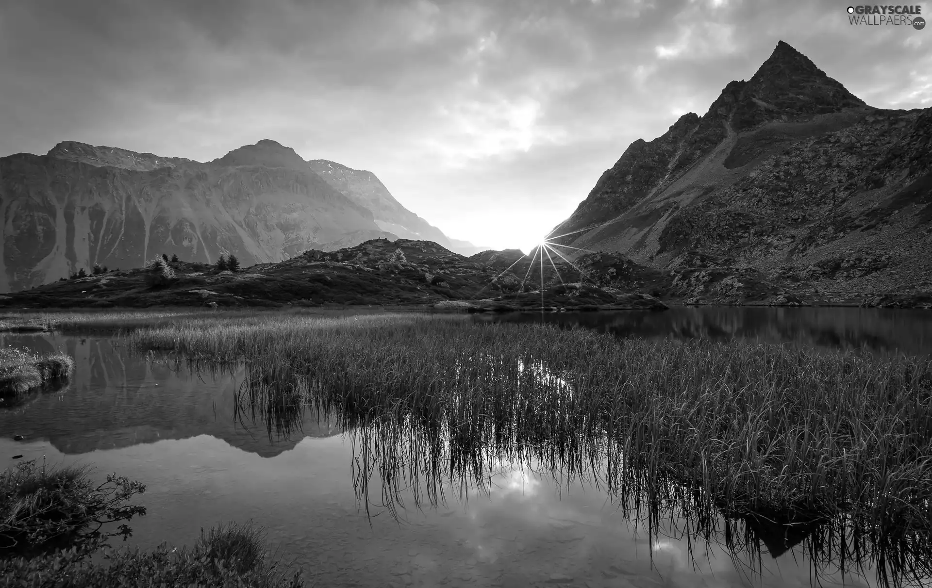 Mountains, Plants, rays of the Sun, lake