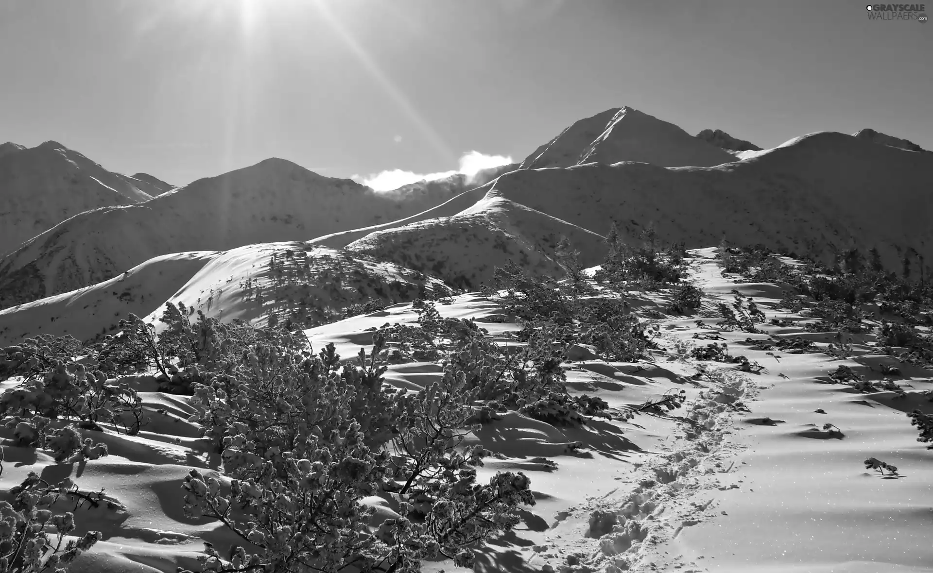 Tatras, winter, rays of the Sun, Poland