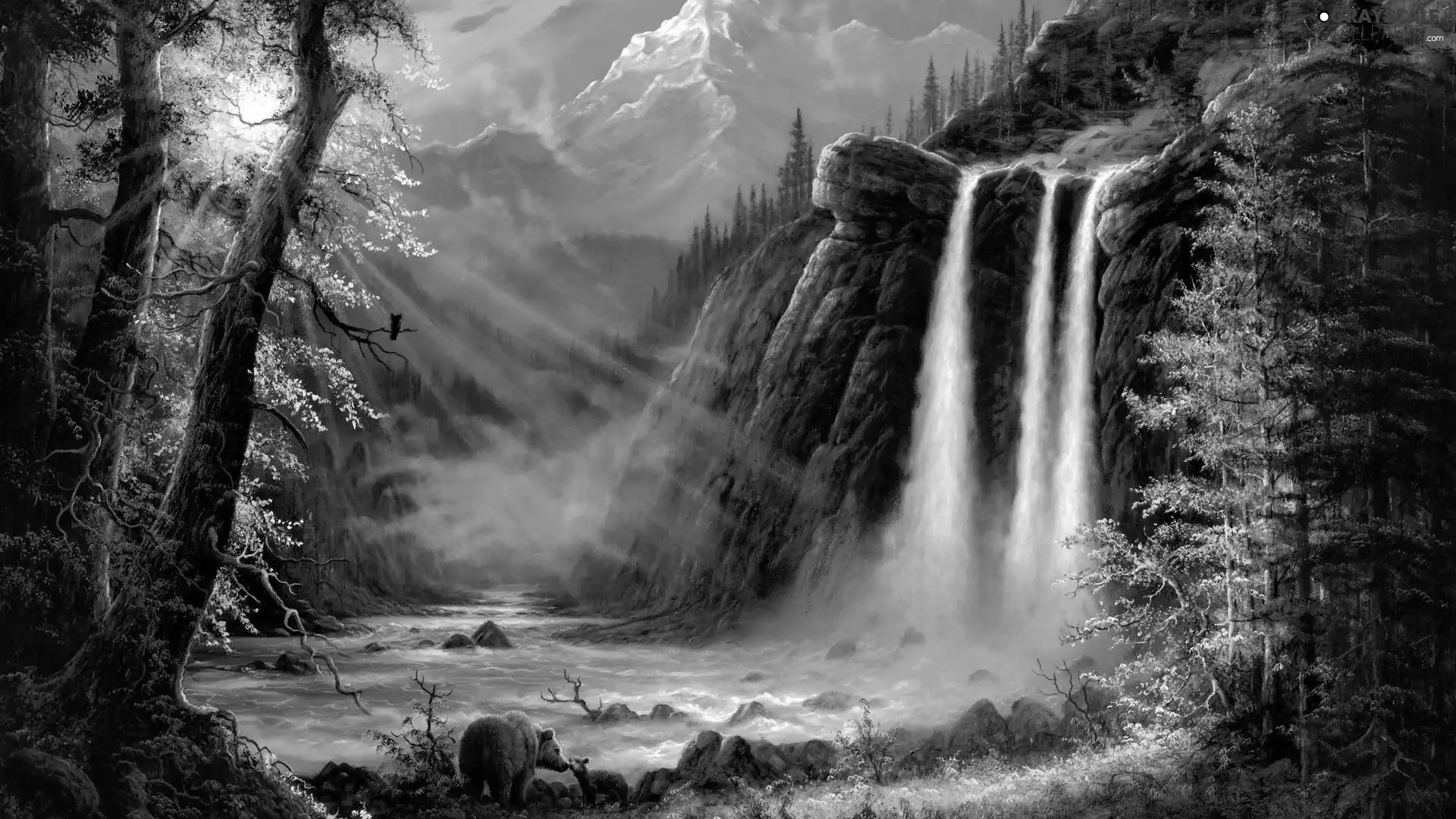 bears, Mountains, rays of the Sun, waterfall