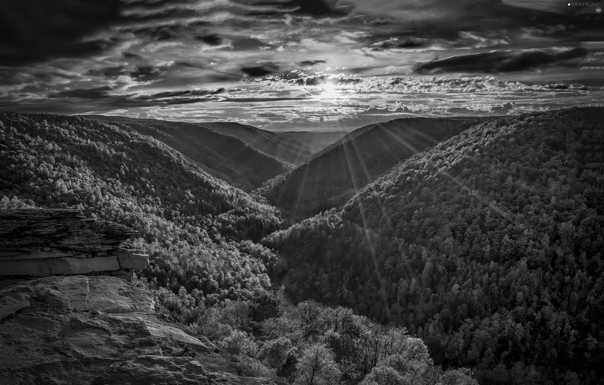 Mountains, Rocks, rays of the Sun, woods