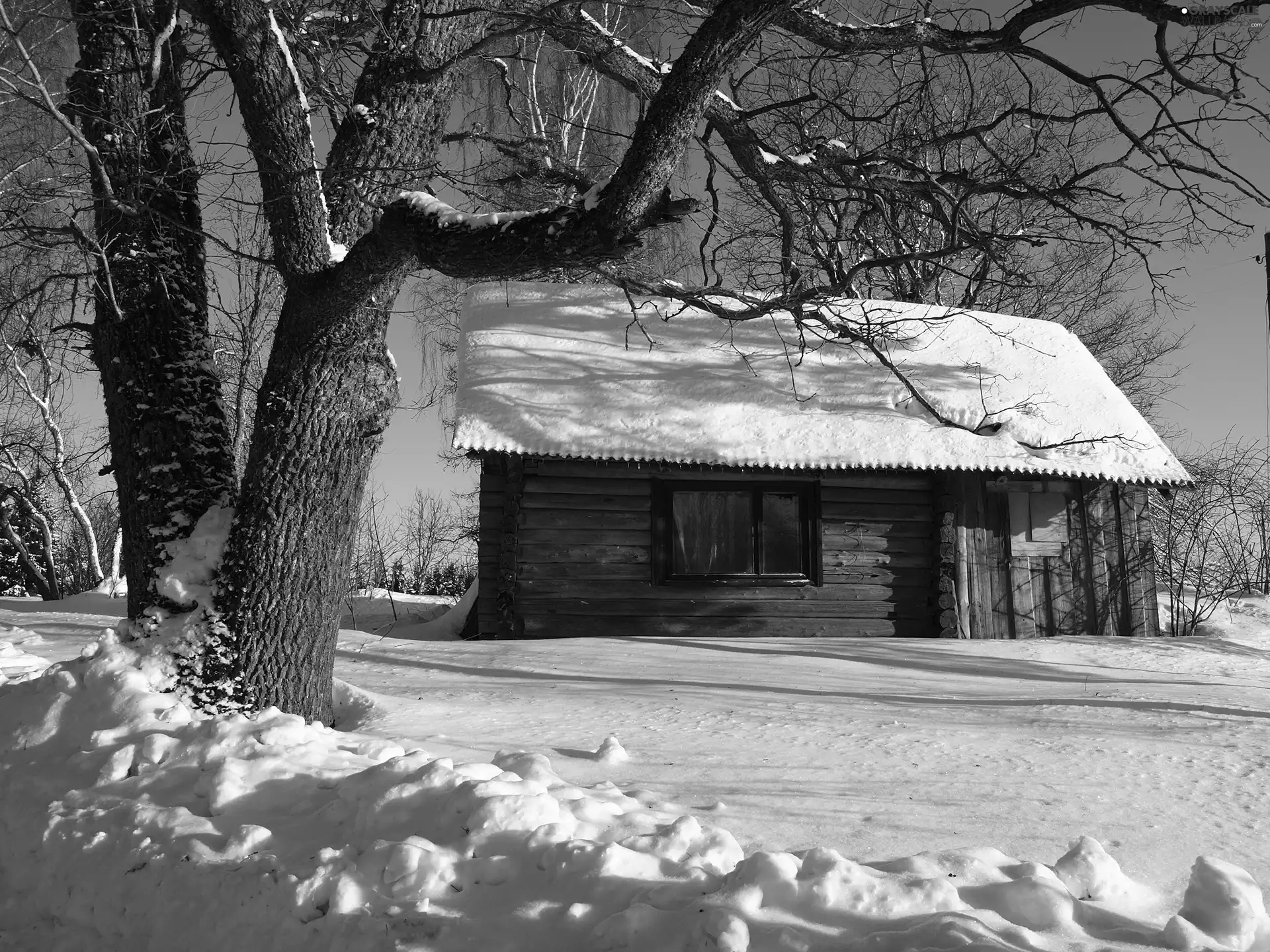 Old car, house, snow, trees, winter