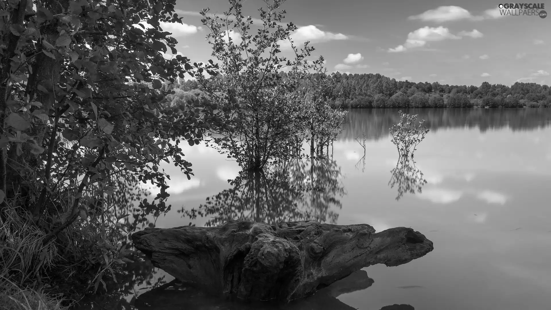 viewes, Rocks, green ones, trees, lake
