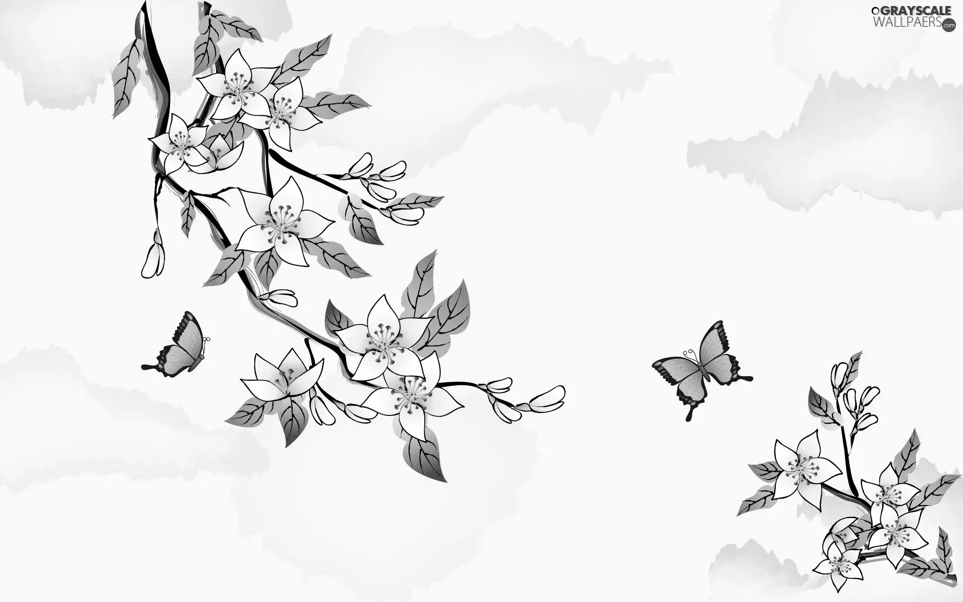 Flowers, Twigs, Orange, butterflies, white, flourishing