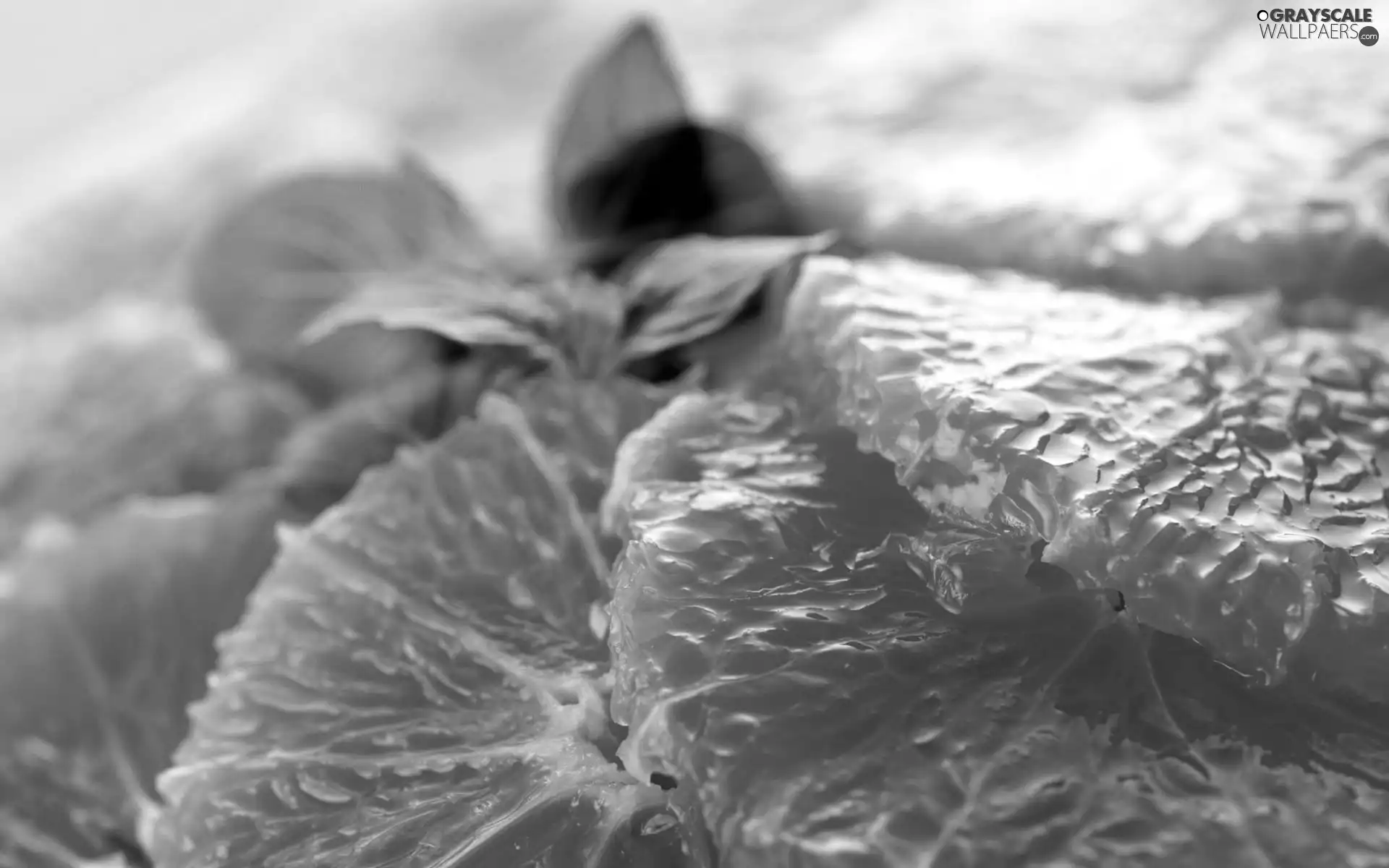 orange, fleshy, particles