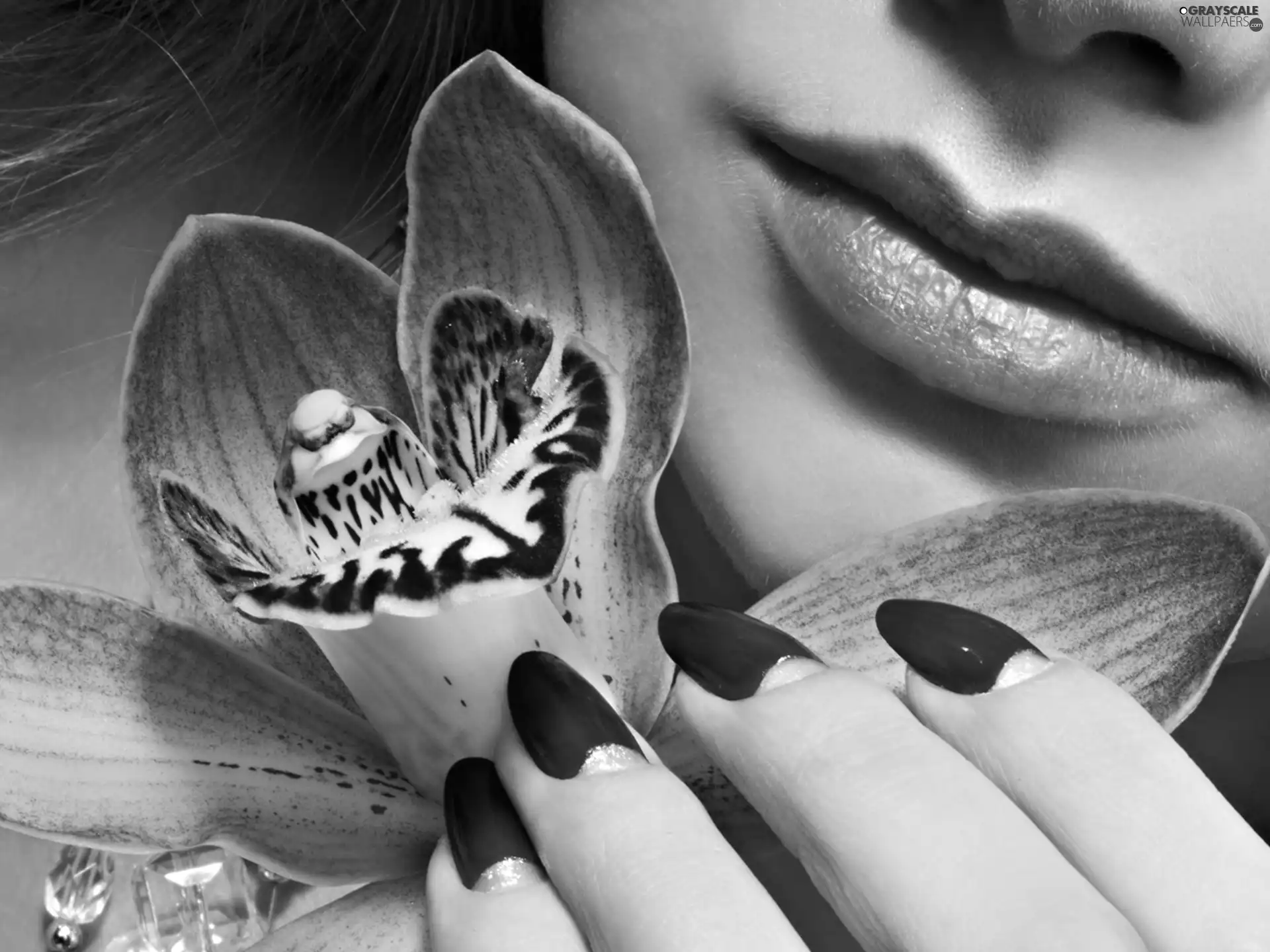 face, make-up, orchids, Womens